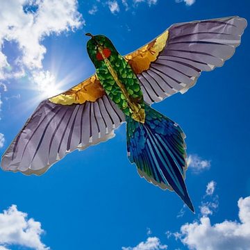 AIROW KITES Flug-Drache Veit Vogel Tropical 4mm Fiberglasgestänge Größe 165x75cm