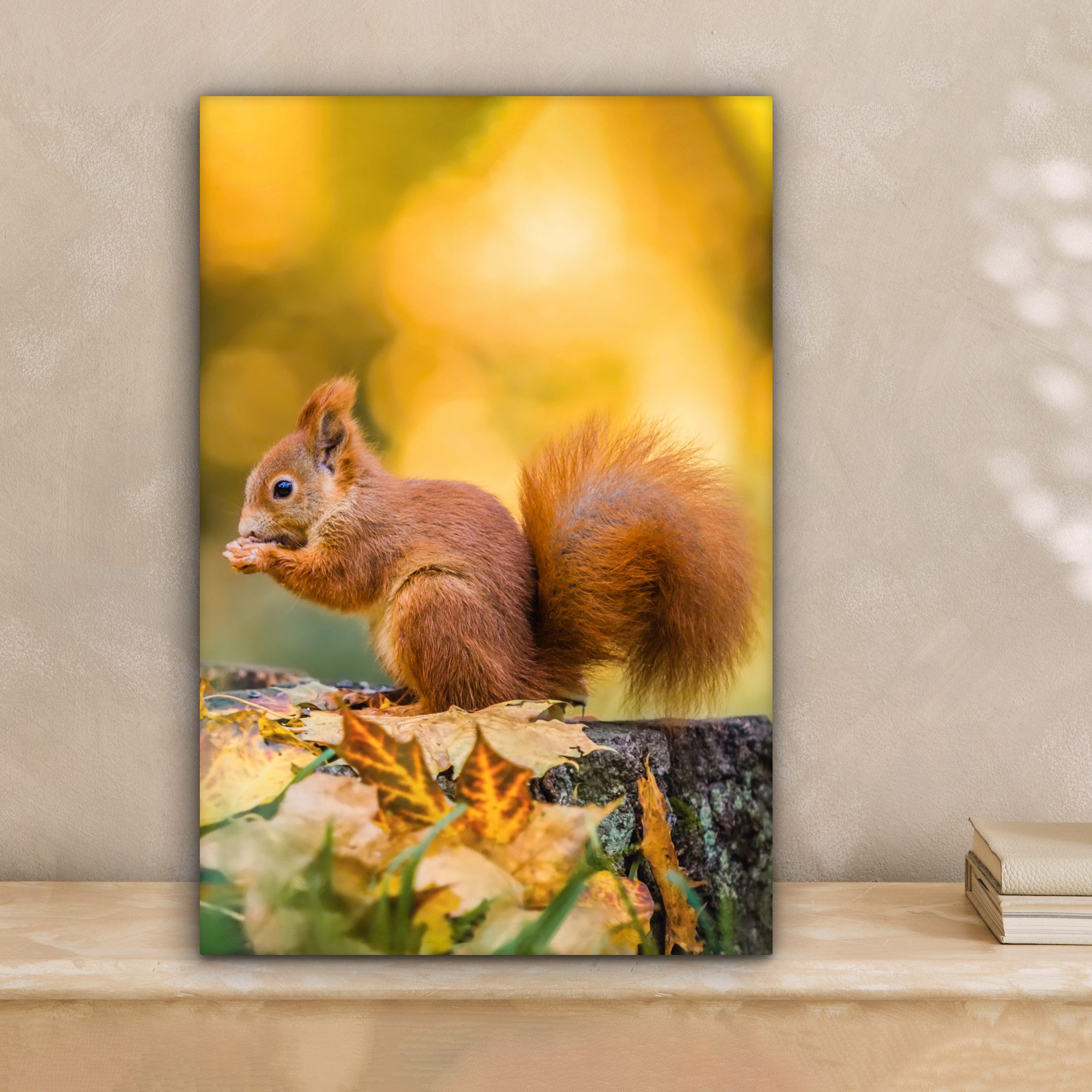 OneMillionCanvasses® Leinwandbild Eichhörnchen - Herbst - Tiere - Herbstlic günstig online kaufen