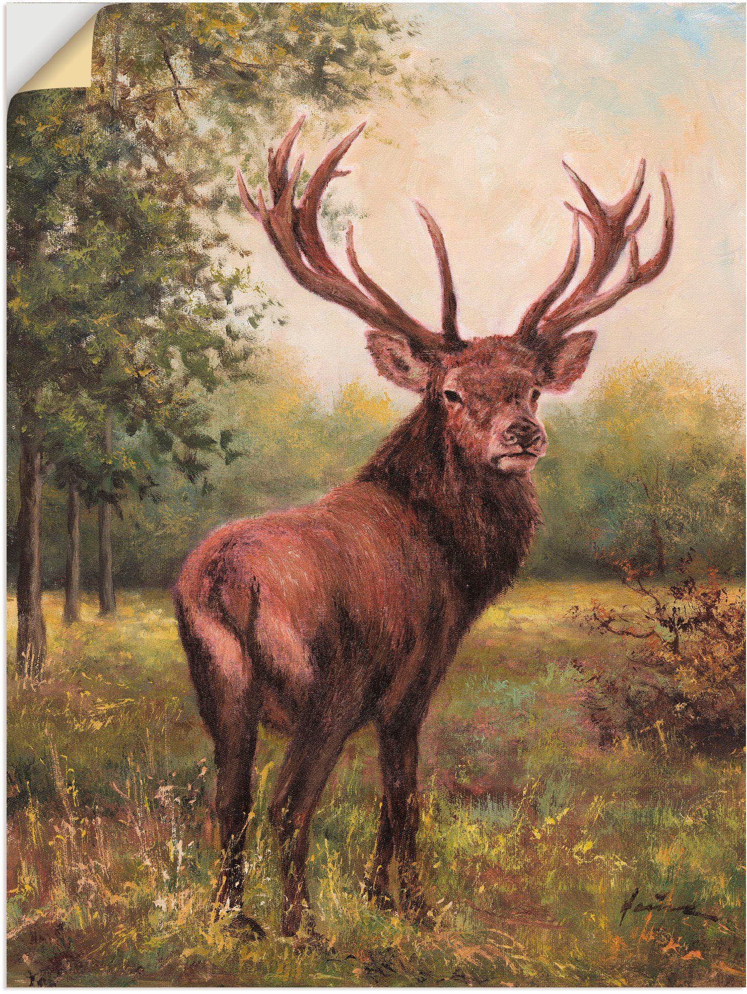 Artland Wandbild Hirsch, Wildtiere (1 St), günstig online kaufen