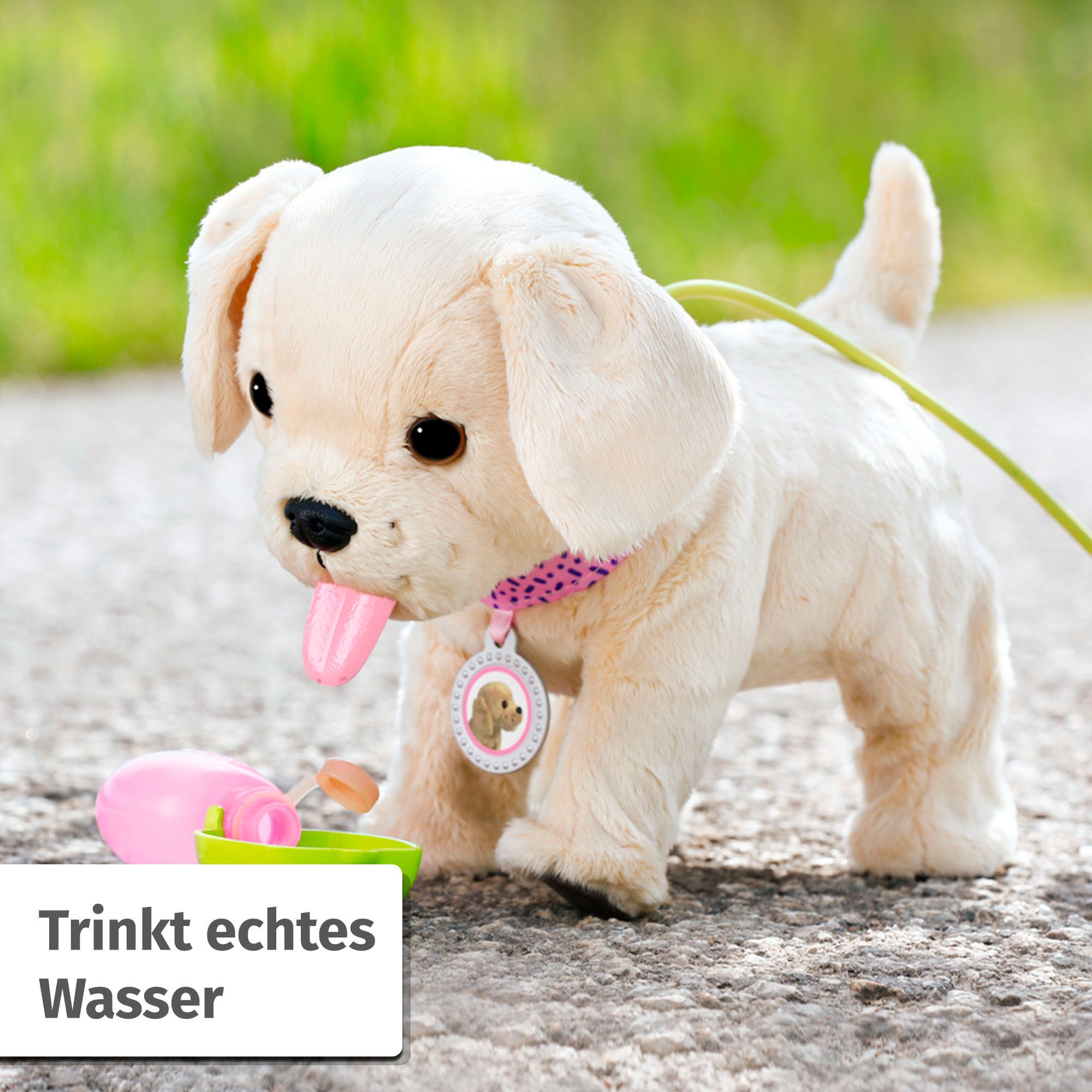 Baby Born Plüschfigur Mein Hund Lucky mit Box