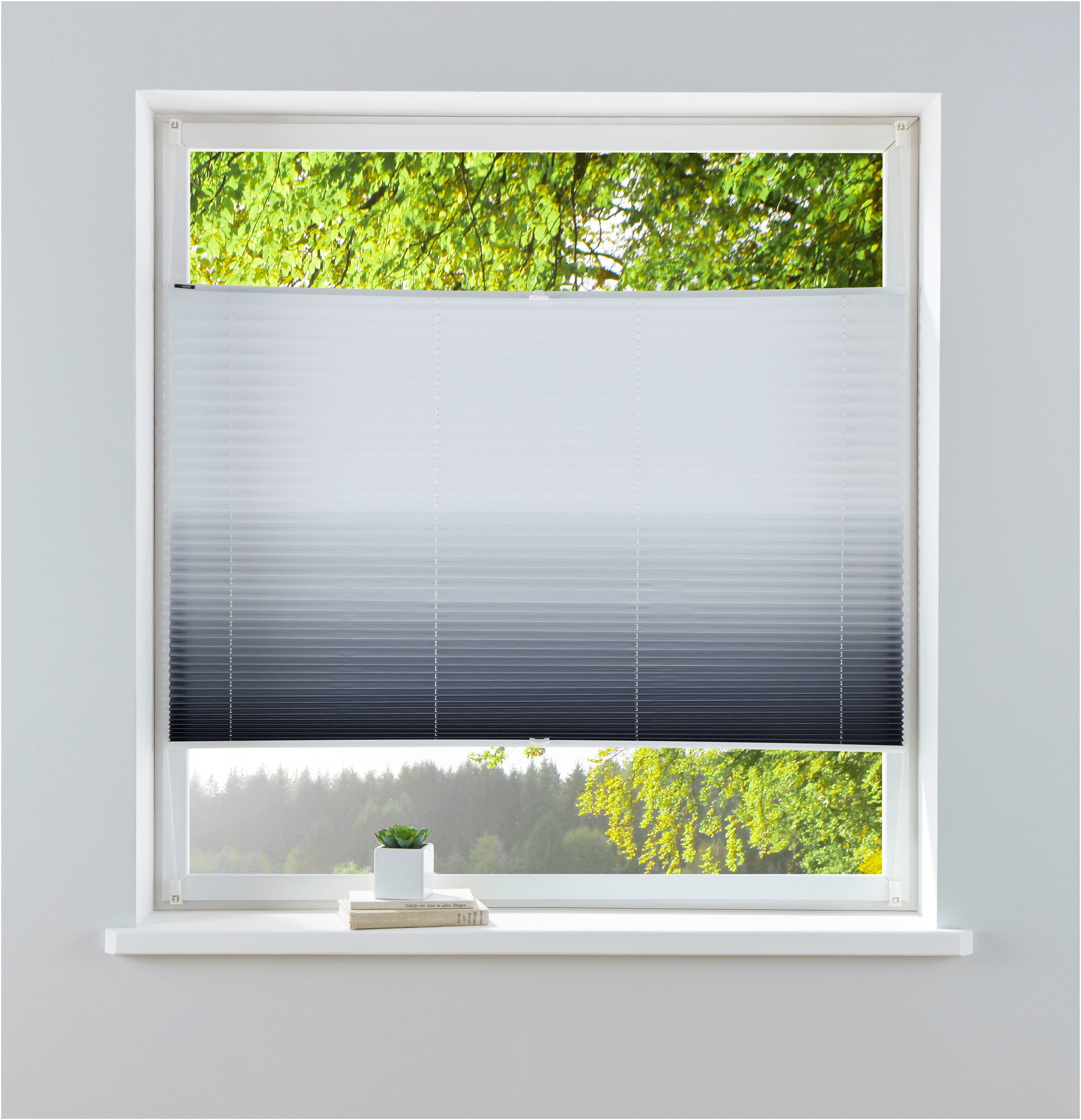my home Plissee Ombré, Lichtschutz, ohne Bohren, verspannt, Klemmfix, Fixma günstig online kaufen