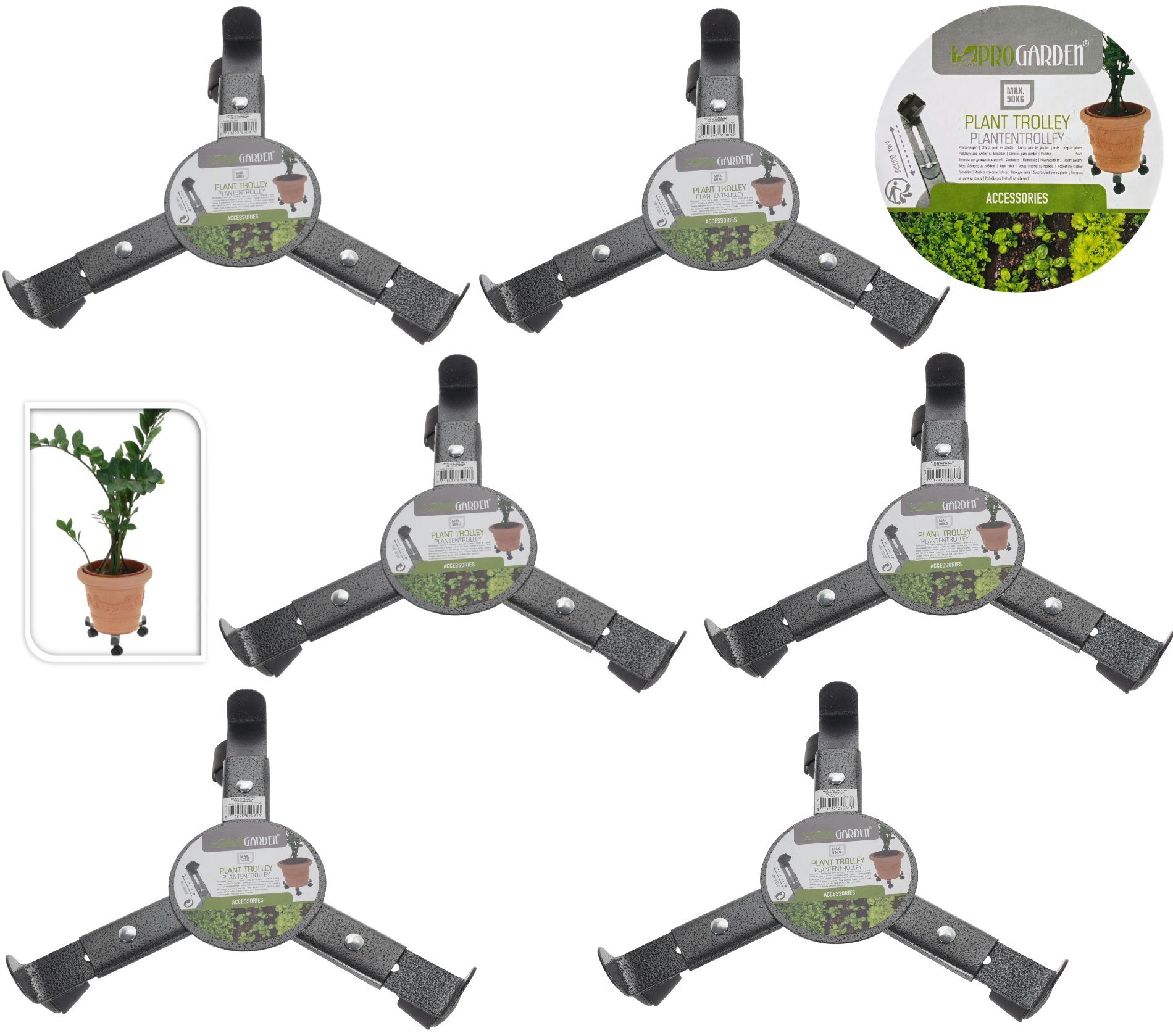 Progarden Pflanzenroller Grau, (6-St), 360° Rollen, günstig online kaufen