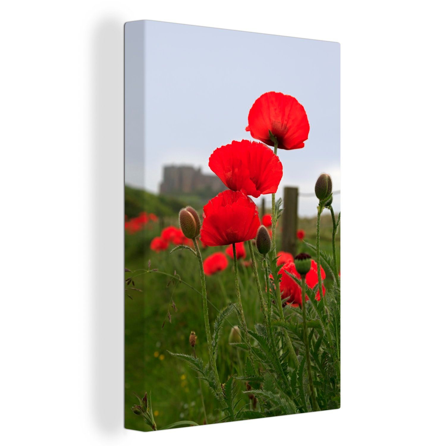 OneMillionCanvasses® Leinwandbild Blumen und Bamburgh Castle im Hintergrund, (1 St), Leinwandbild fertig bespannt inkl. Zackenaufhänger, Gemälde, 20x30 cm