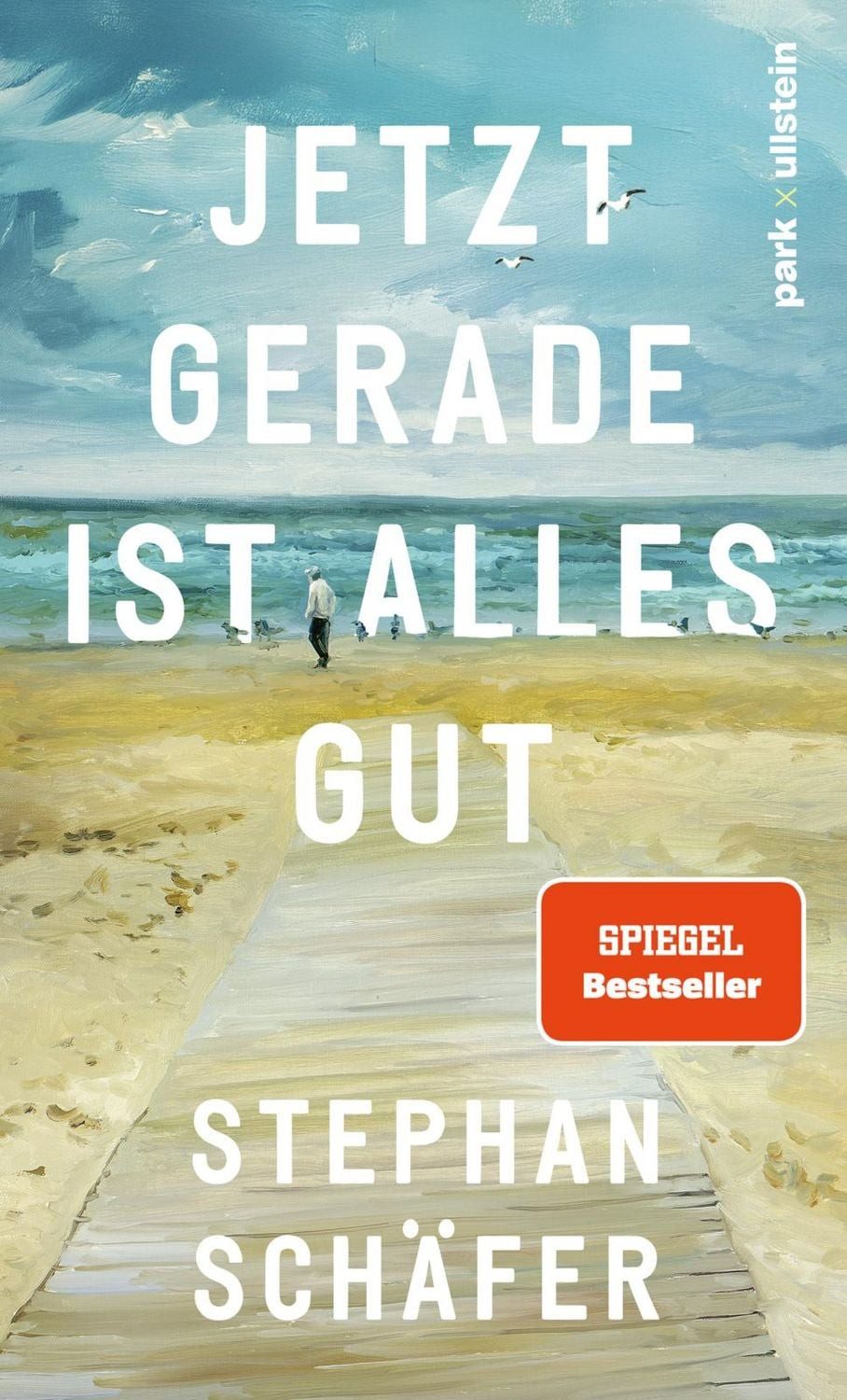 Belletristik Jetzt gerade ist alles gut Nach dem SPIEGEL-Bestseller "25 letzte Somm Stephan Schäfer