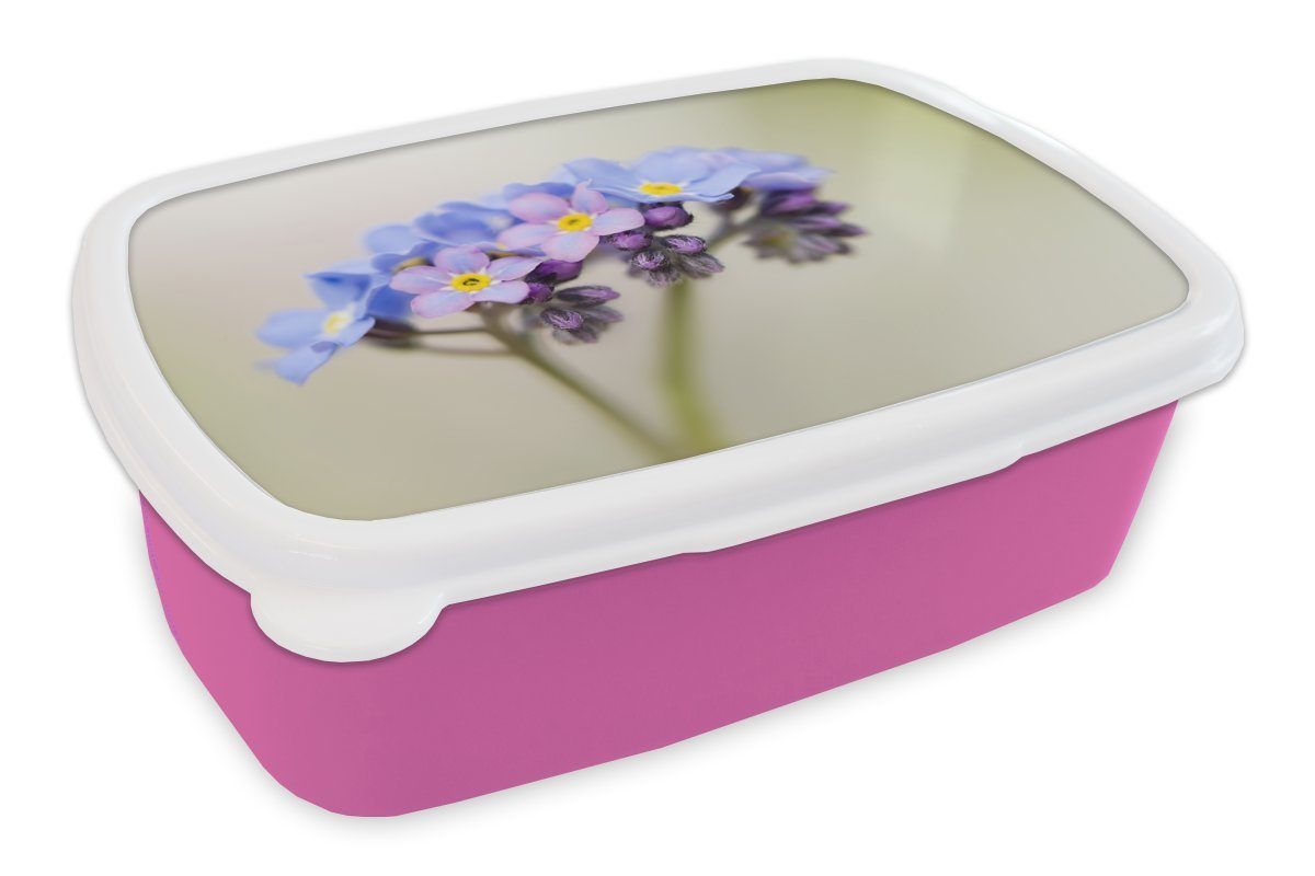 MuchoWow Lunchbox Nahaufnahme von lila Vergissmeinnicht, Kunststoff, (2-tlg), Brotbox für Erwachsene, Brotdose Kinder, Snackbox, Mädchen, Kunststoff rosa