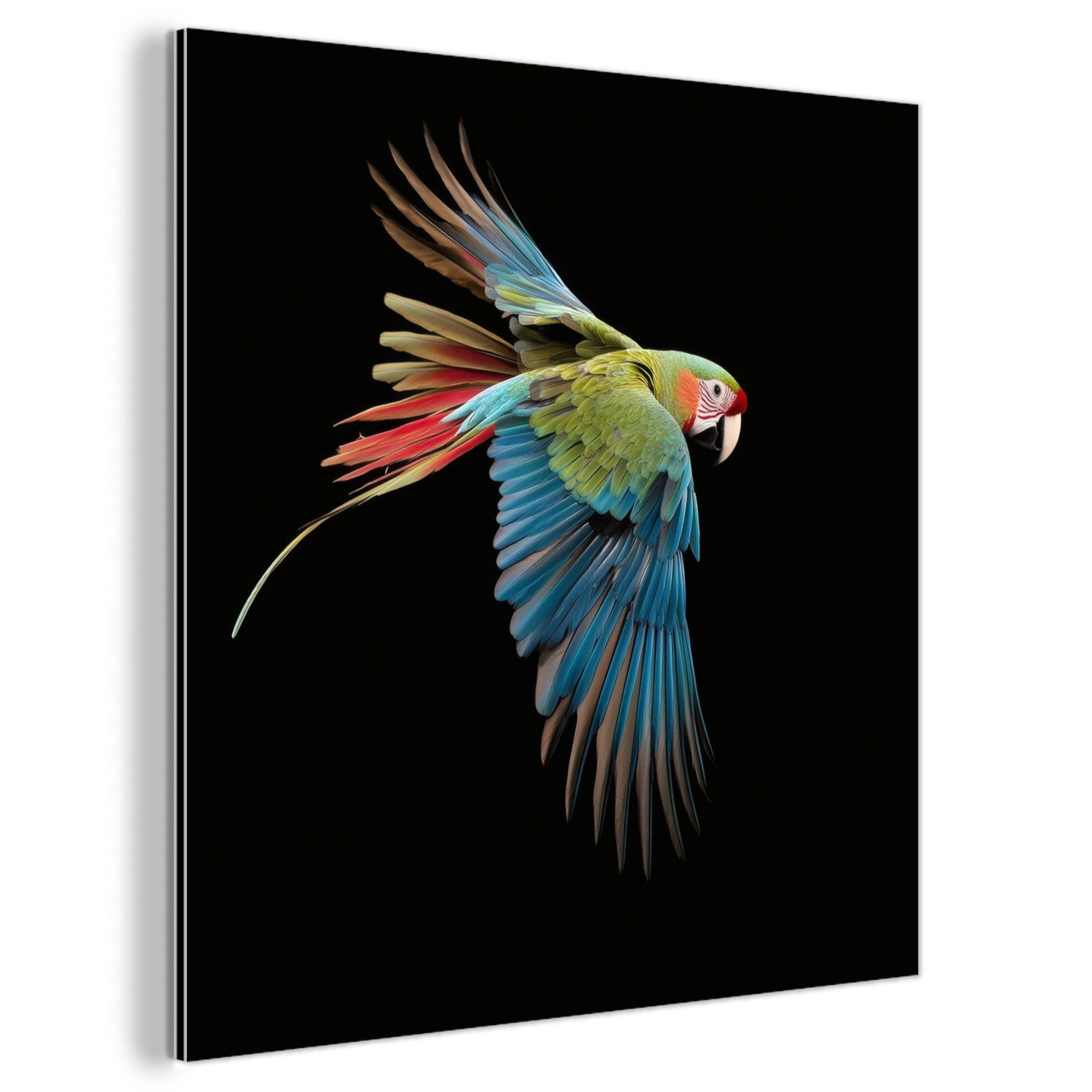 MuchoWow Metallbild Papagei - Bunt - Flügel - Verschnörkelt, Inkl. Aufhängung, Alu-Dibond-Druck, Wandbild aus Metall, Aluminium deko, 20x20 cm