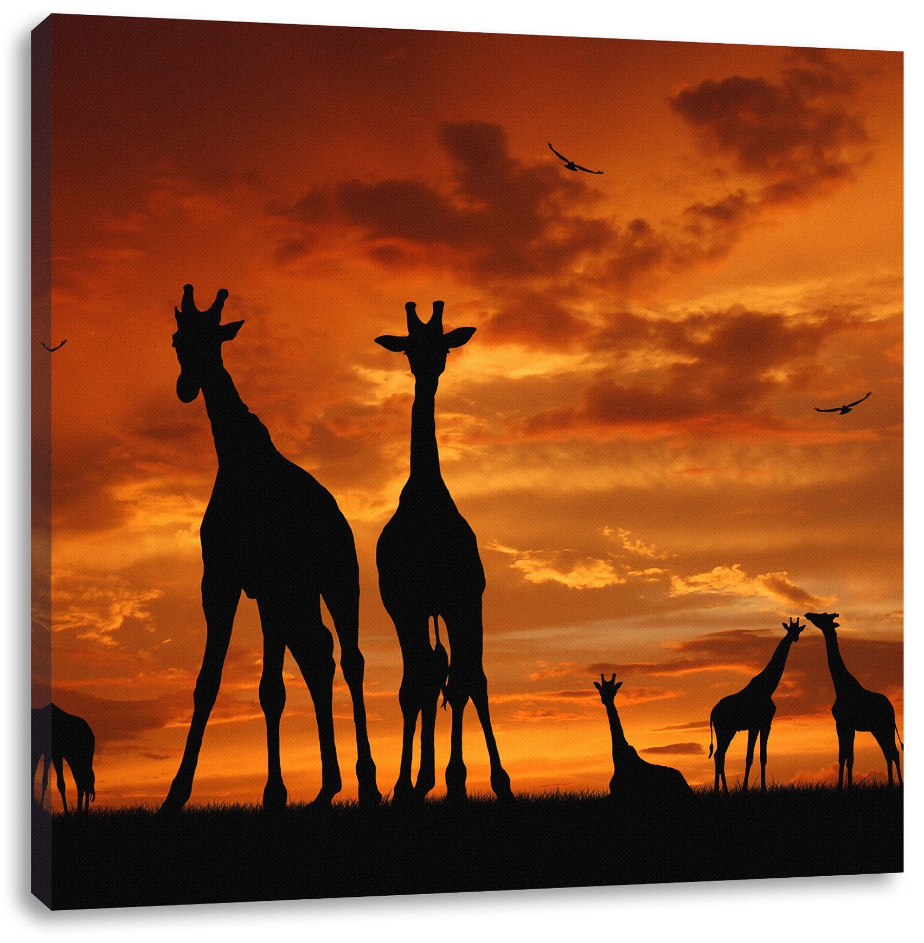 Pixxprint Leinwandbild Afrika Giraffen im Sonnenuntergang, günstig online kaufen