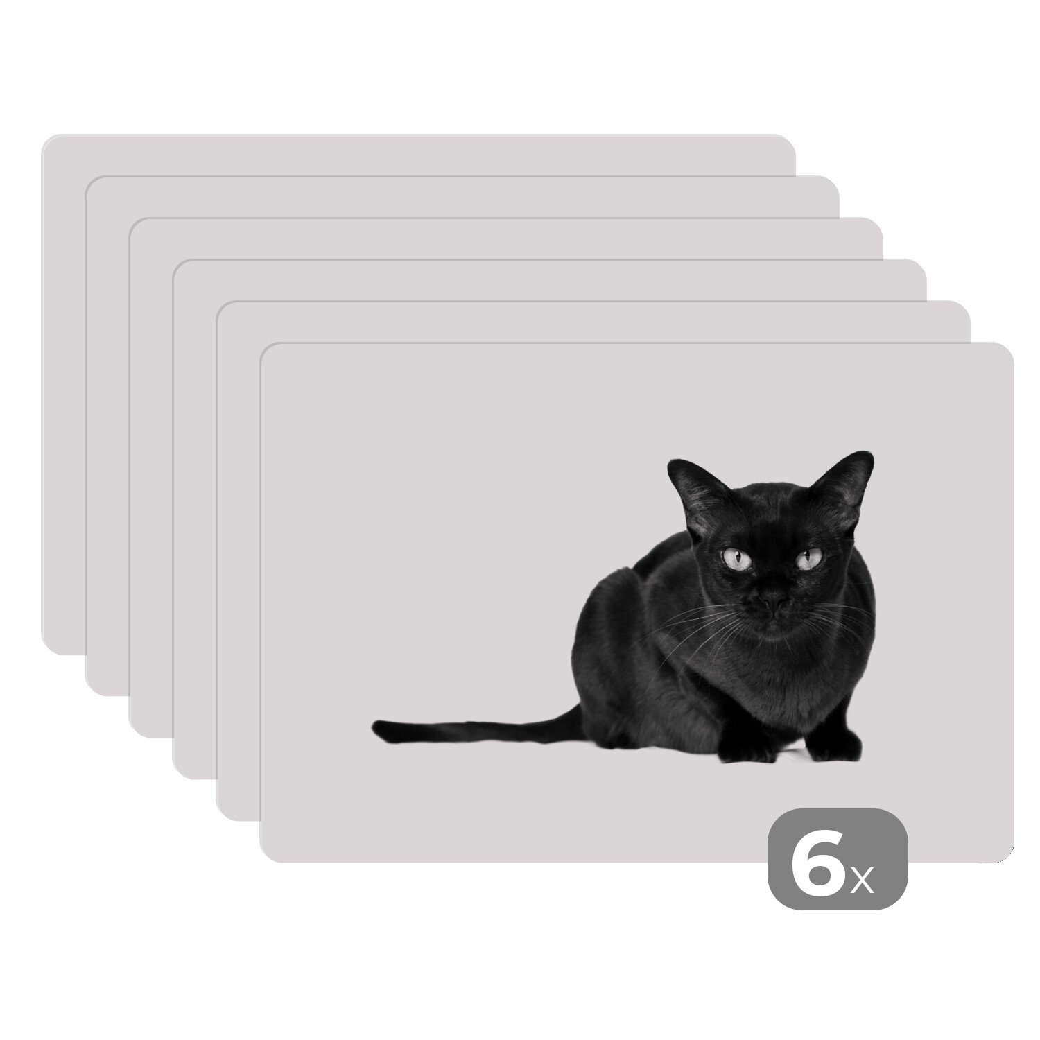 Platzset, Dunkle birmanische Katze auf Schmutzabweisend Platzmatte, schwarz-weiß, Hintergrund - (6-St), Platzset, MuchoWow, weißem Platzdecken, Tischmatten