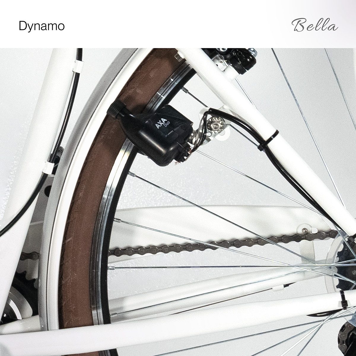 BERLIN BIKE Cityrad Bella – 28 Zoll Damenfahrrad mit Dynamo & Korb, Stilvoll & Praktisch, 6 Gang Shimano, Kettenschaltung, Klassisches 28 Zoll Damen Hollandrad – Elegantes Vintage-Fahrrad