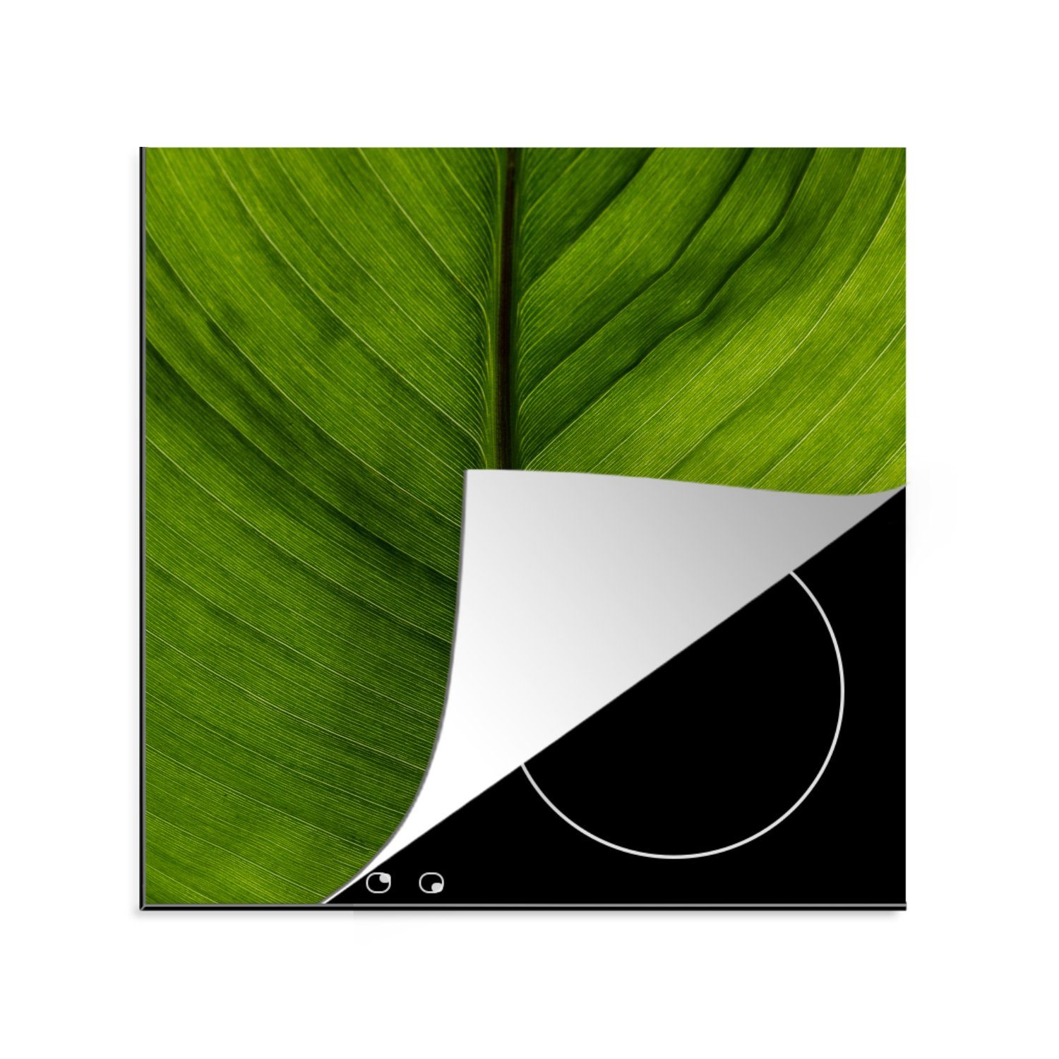 MuchoWow Herdblende-/Abdeckplatte Blätter - Pflanze - Grün, Vinyl, (1 tlg), 78x78 cm, Ceranfeldabdeckung, Arbeitsplatte für küche