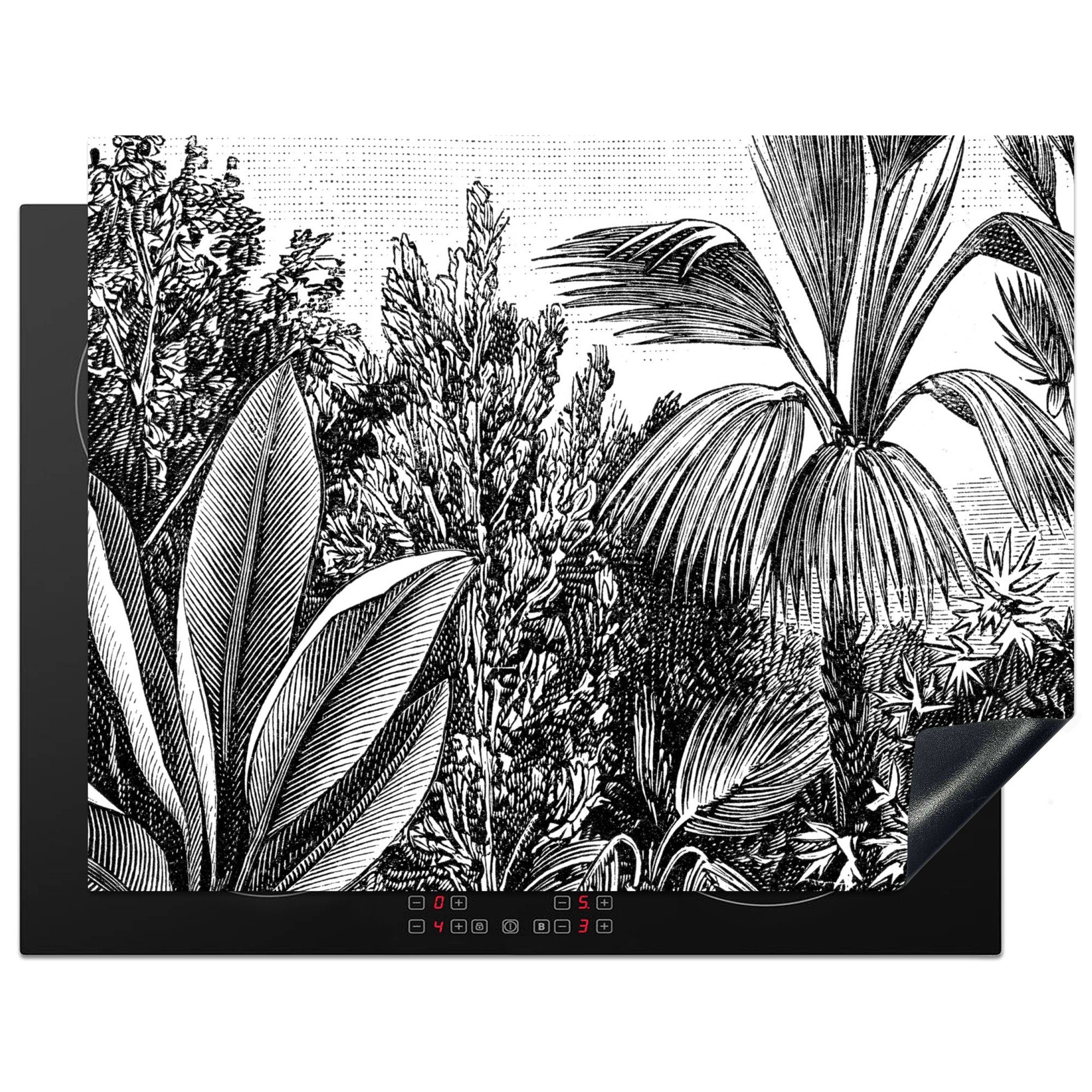 MuchoWow Herdblende-/Abdeckplatte Pflanzen - Natur - Gestaltung - Illustration - Ernst Haeckel, Vinyl, (1 tlg), 77x59 cm, Ceranfeldabdeckung, Arbeitsplatte für küche