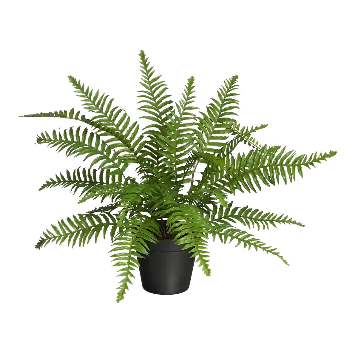 Kunstpflanze Künstlicher Schwertfarn - Grimm, 46 cm, aplanta