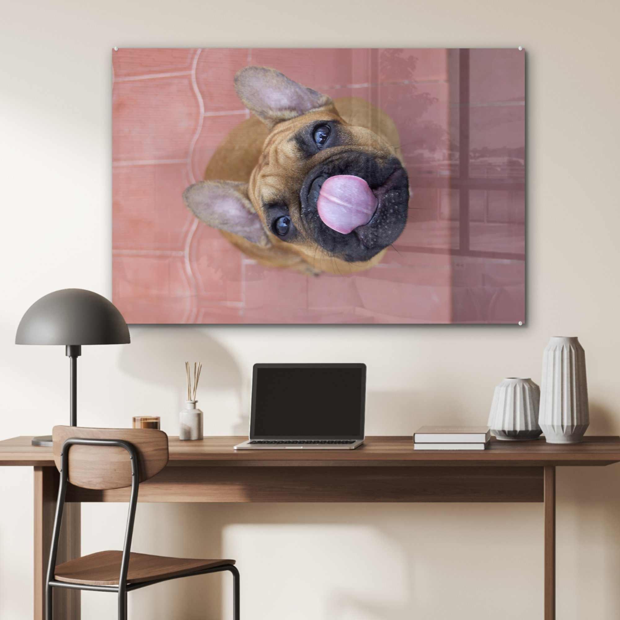 MuchoWow Acrylglasbild Ein Welpe (1 Acrylglasbilder Bulldogge, Französischen einer Wohnzimmer Schlafzimmer & St)