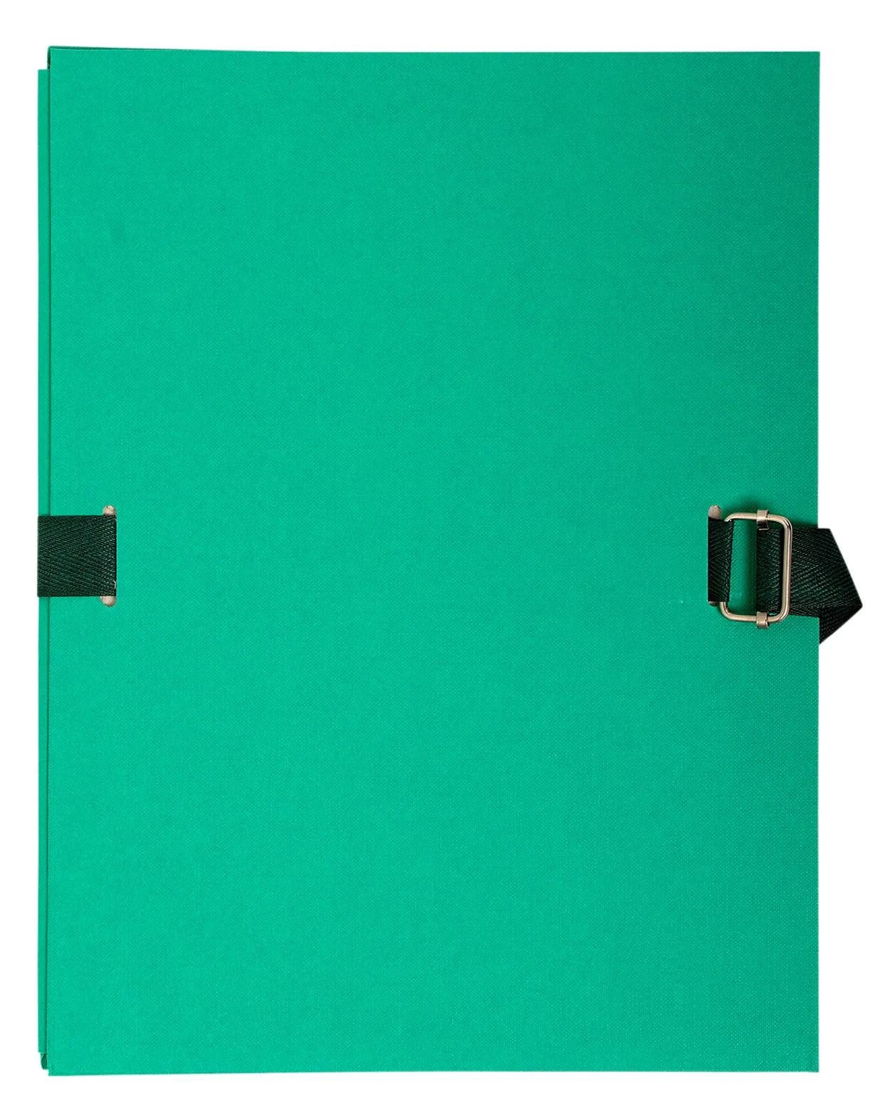 Dokumententasche 10x Dokumentenmappe Karton 2,7mm, Faltenrücken, A4, Hellgrün, 723E