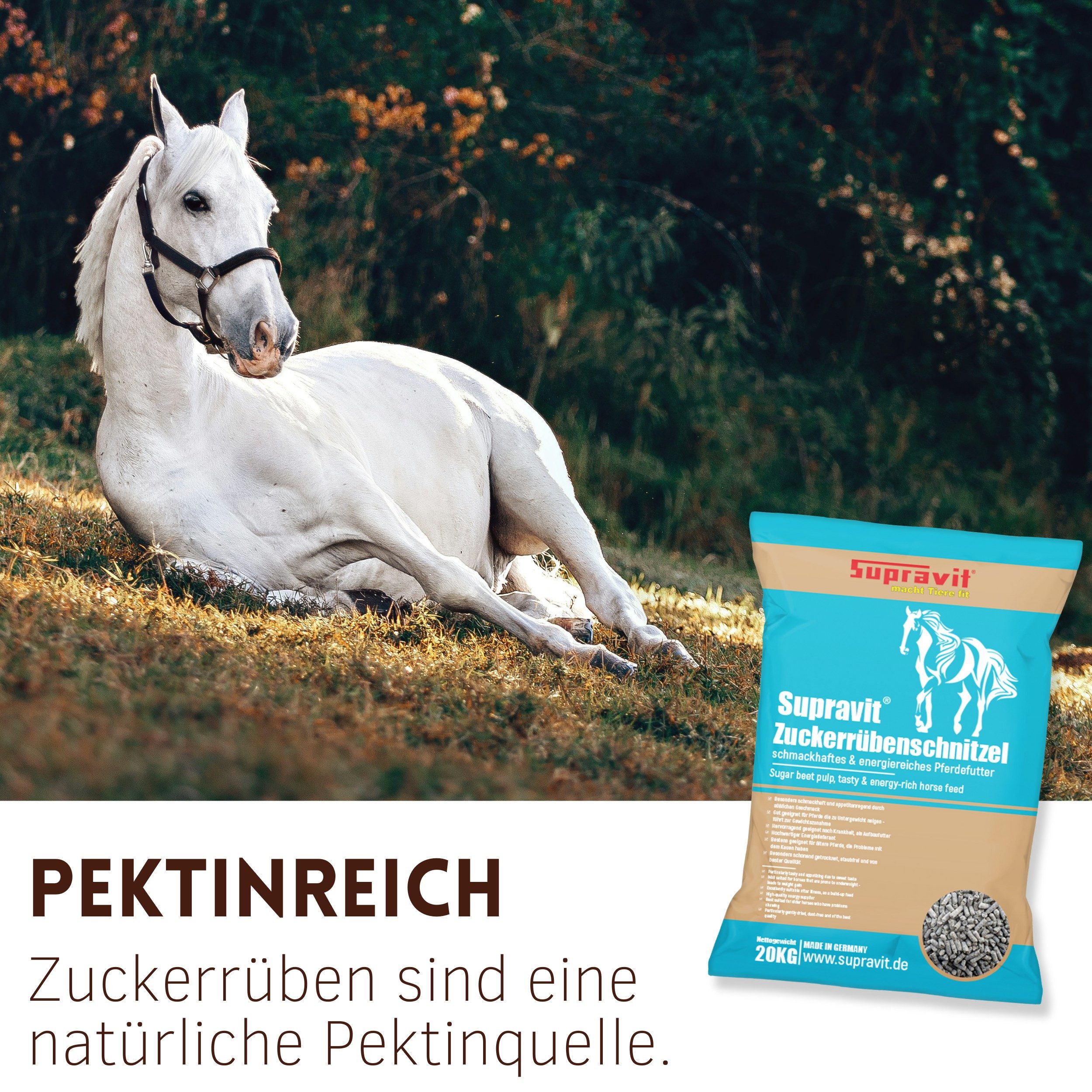 Supravit Rübenschnitzel 20kg - Schmackhaftes & energiereiches Pferdefutter RÜBENSCHNITZEL, Ergänzungsfutter für: Pferd – Bild 5 von 5
