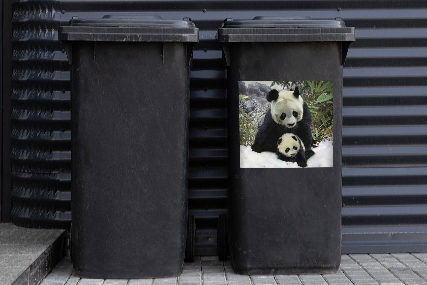 Mülltonne, Jungtier - Abfalbehälter Wandsticker Schnee MuchoWow - (1 Panda Sticker, Mülleimer-aufkleber, Container, St),