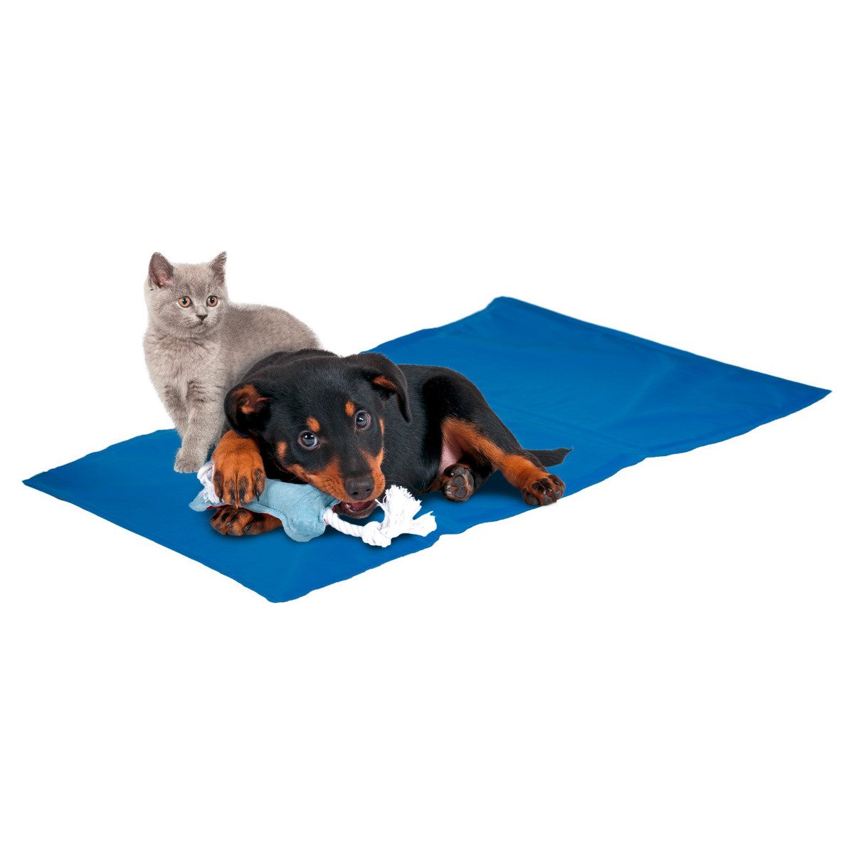 Tierbett Kühlkissen/Kühlmatte Fresk für Katzen
