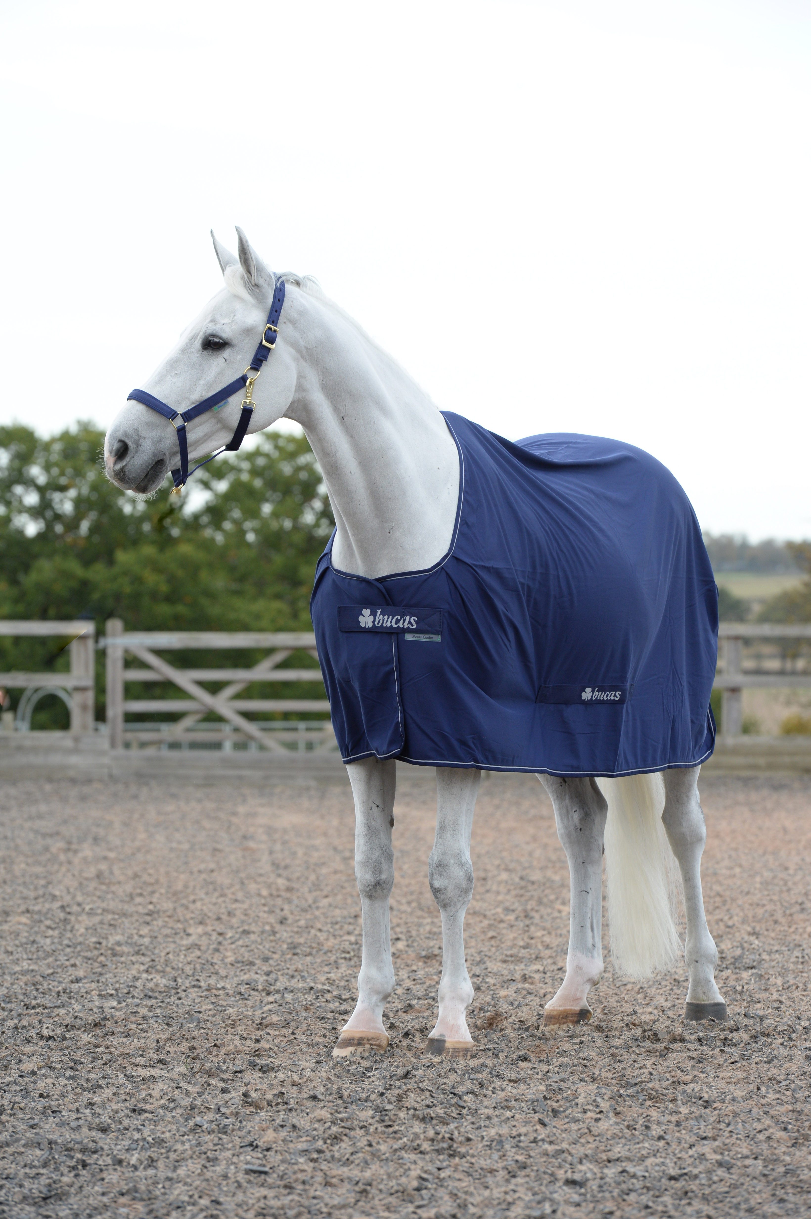 Bucas Pferde-Stalldecke Multifunktionsdecke Power Cooler in Navy/Silver