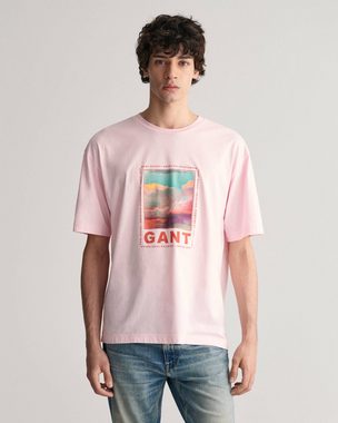 Gant T-Shirt Herren T-Shirt WASHED GRAPHIC (1-tlg)