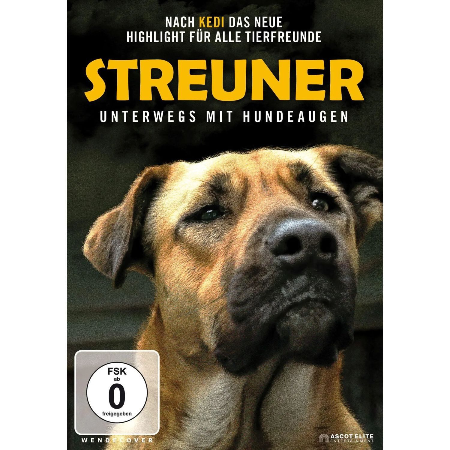 Elite DVD Streuner - Unterwegs mit Hundeaugen