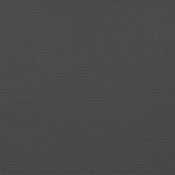 vidaXL Seitenmarkise Balkon-Sichtschutz Anthrazit 120x700 cm 100 Polyester-Oxford