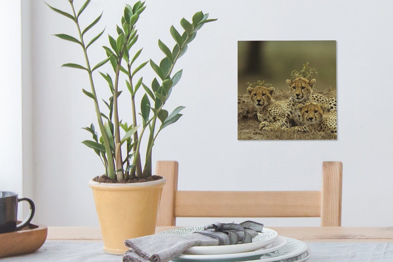 Gepardenjunge, Wohnzimmer Leinwand (1 Schlafzimmer Bilder Junge für OneMillionCanvasses® St), Leinwandbild