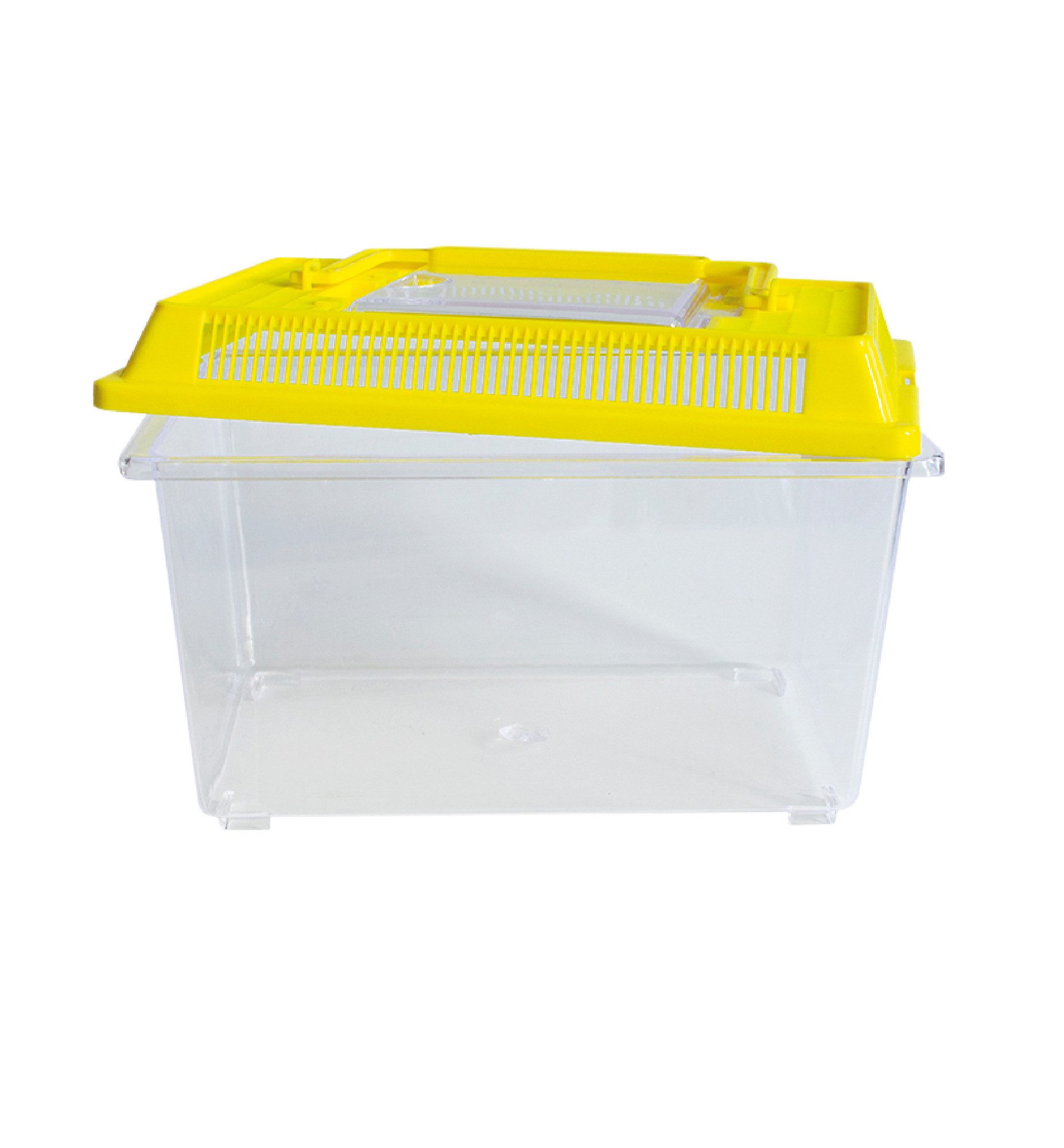 Experimentierkasten Insekten-Beobachtungsbox, aus Kunststoff