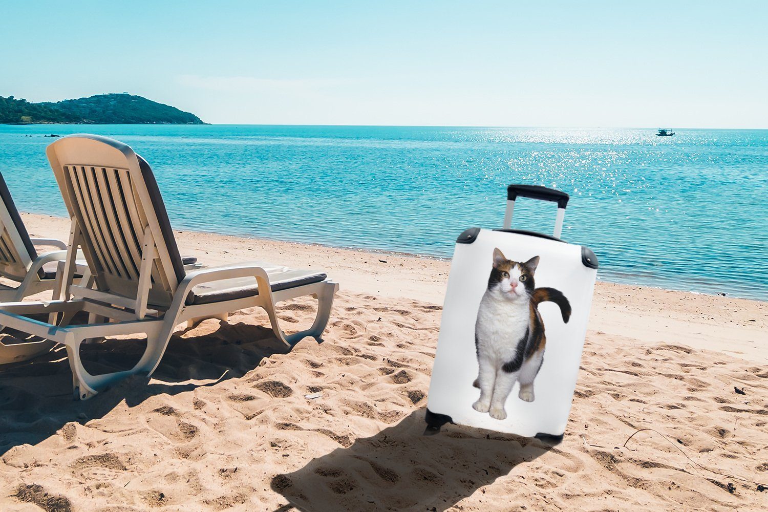 Rollen, für Gefleckte Handgepäck Ferien, rollen, Handgepäckkoffer auf MuchoWow Reisetasche Reisekoffer weißem Katze 4 Hintergrund, Trolley, mit