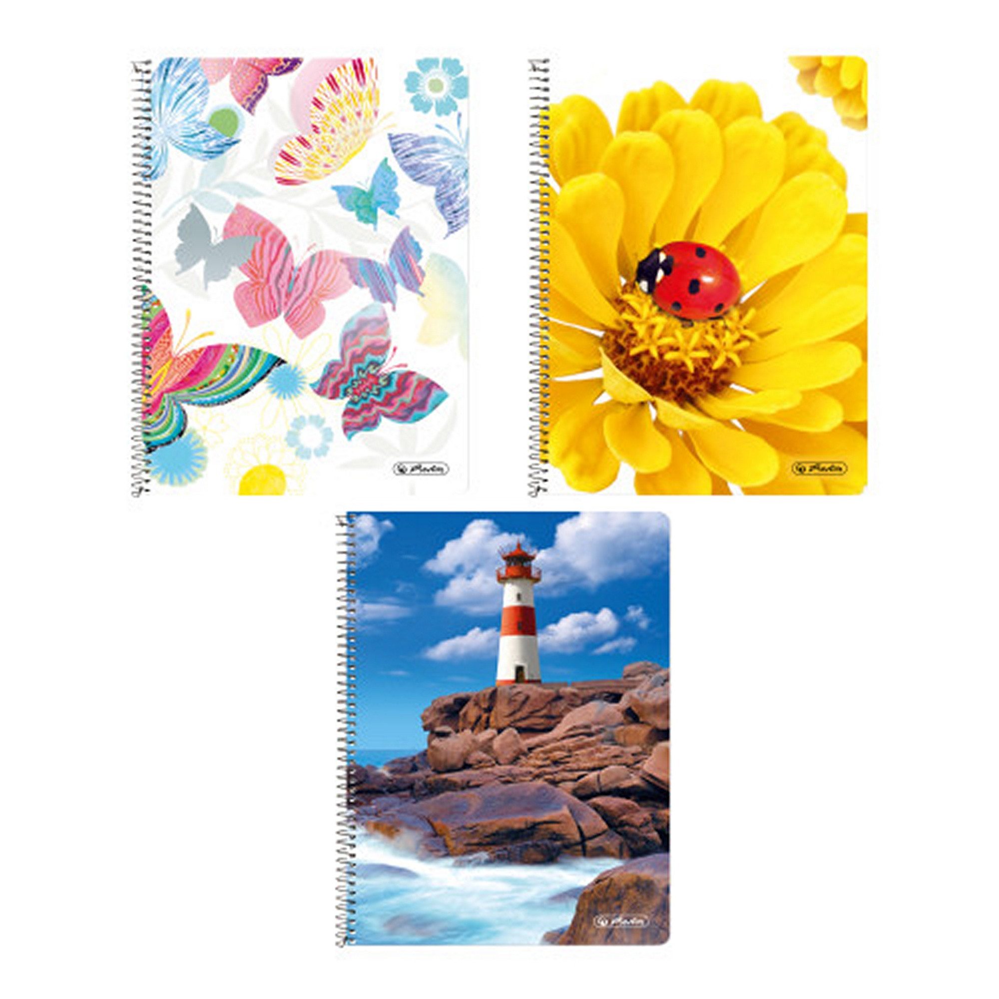 Herlitz Collegeblock 3x Herlitz Collegeblock / DIN A5 / Spiralblock / kariert / 3 verschied