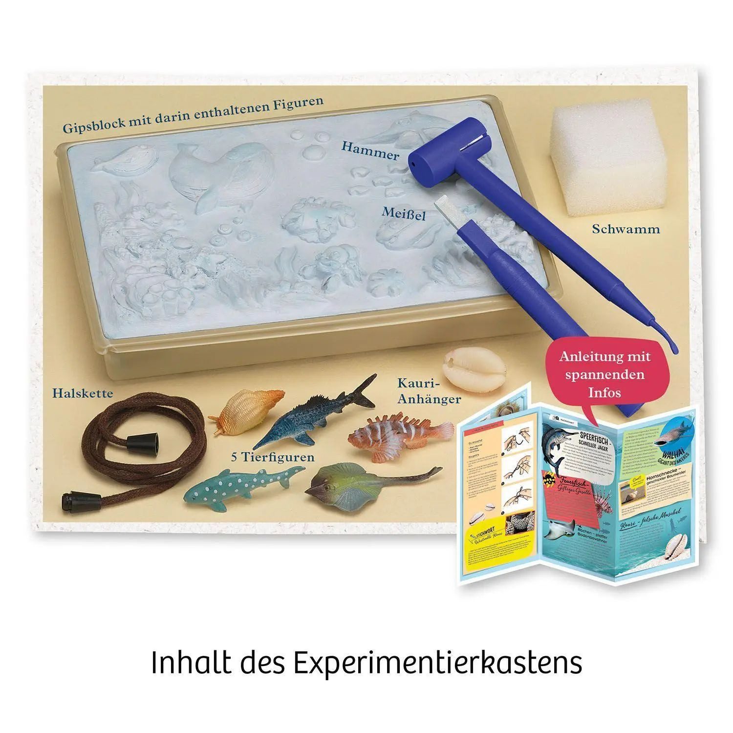 Kosmos Spiel Meeres-Abenteuer