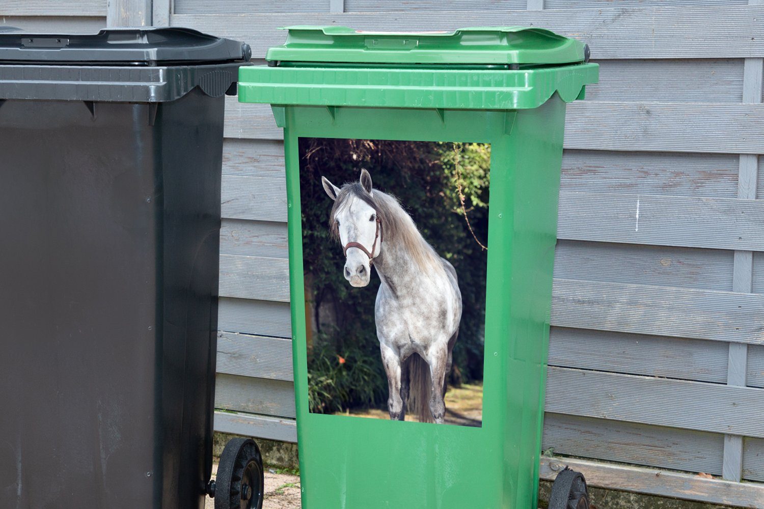 Mülltonne, MuchoWow St), (1 Pferd Halfter - Abfalbehälter Sticker, Natur Wandsticker - Mülleimer-aufkleber, Container,