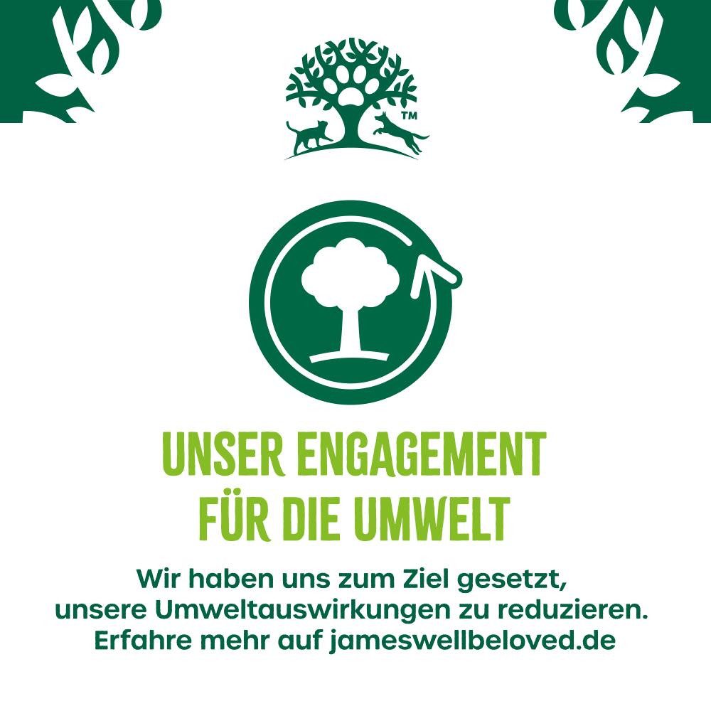 James Wellbeloved JAMES WELLBELOVED™ Hund Dose Senior Lamm und Huhn in Pastete 800g, Nassfutter für: Hunde