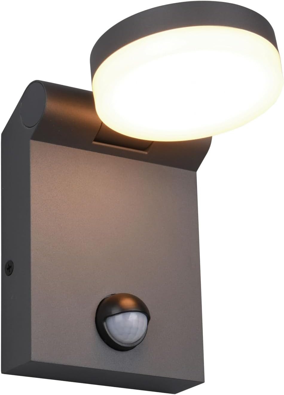 lightling LED Außen-Wandleuchte Alena, spritzwasser- und günstig online kaufen