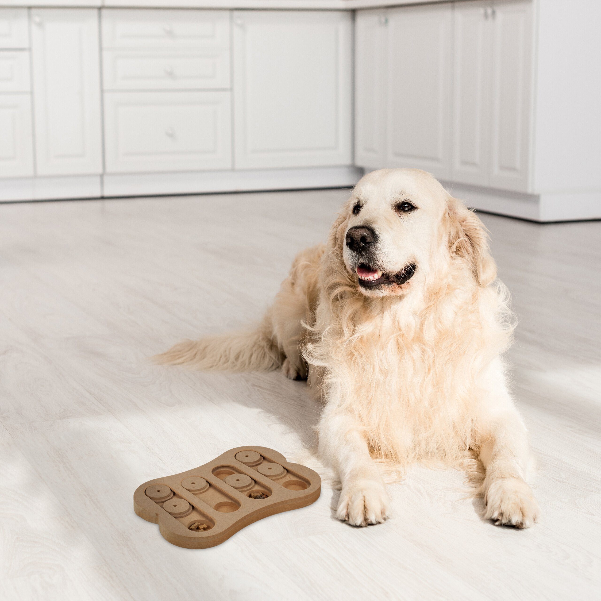 relaxdays Tier-Intelligenzspielzeug Intelligenzspielzeug für Hunde, Faserpl günstig online kaufen