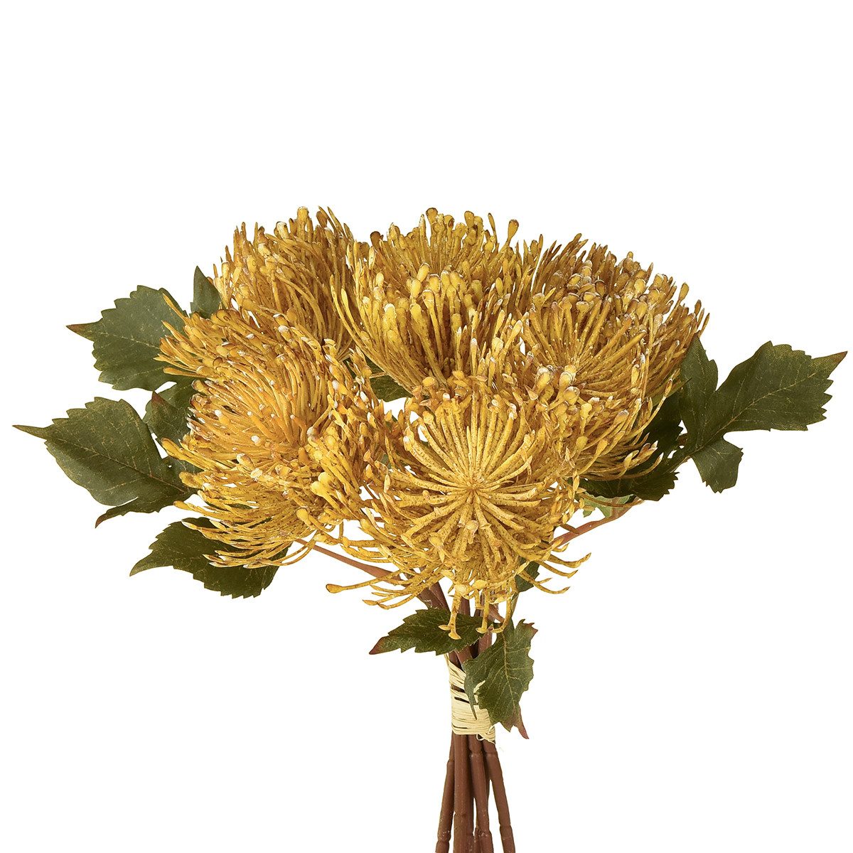Kunstblume Protea künstlich Nadelkissen Gelb 30cm Set 6 Stk Dekoblume, Vian günstig online kaufen