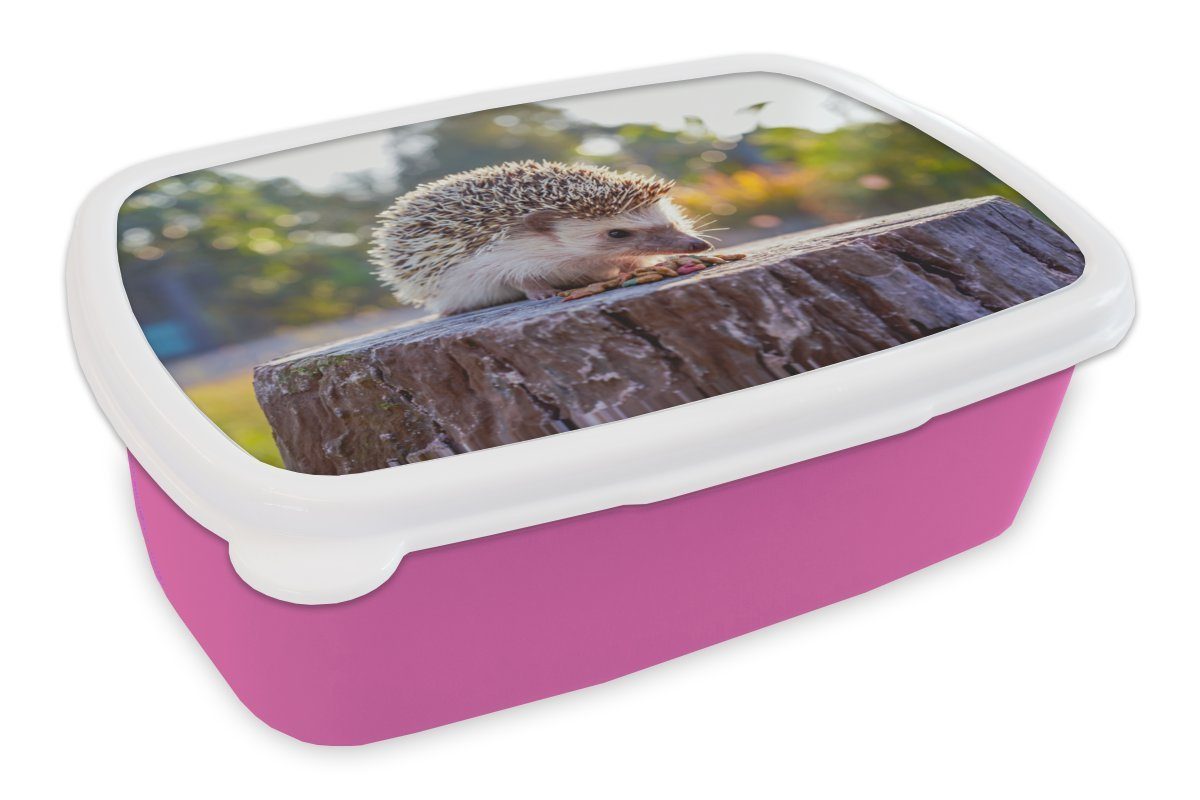 MuchoWow Lunchbox Essender Igel, Kunststoff, (2-tlg), Brotbox für Erwachsene, Brotdose Kinder, Snackbox, Mädchen, Kunststoff rosa