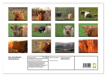 CALVENDO Wandkalender Das Schottische Hochlandrind (Premium, hochwertiger DIN A2 Wandkalender 2023, Kunstdruck in Hochglanz)