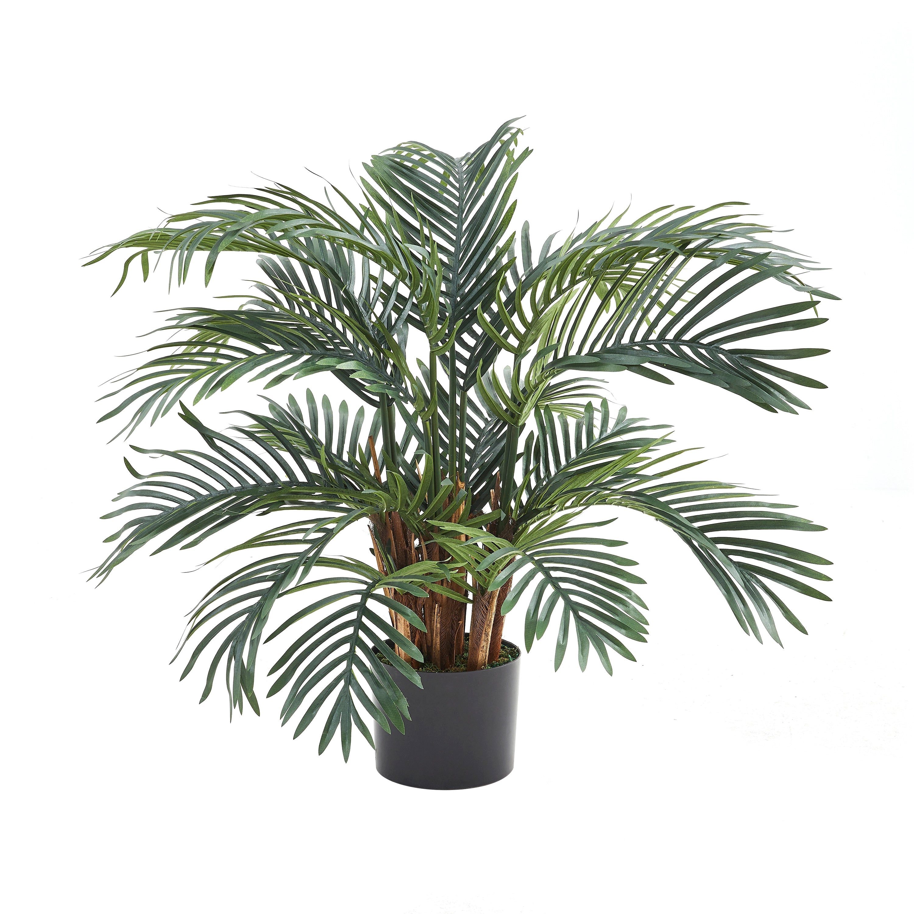Kunstpflanze Künstlicher Palmfarn – Alamea, 75 cm, aplanta