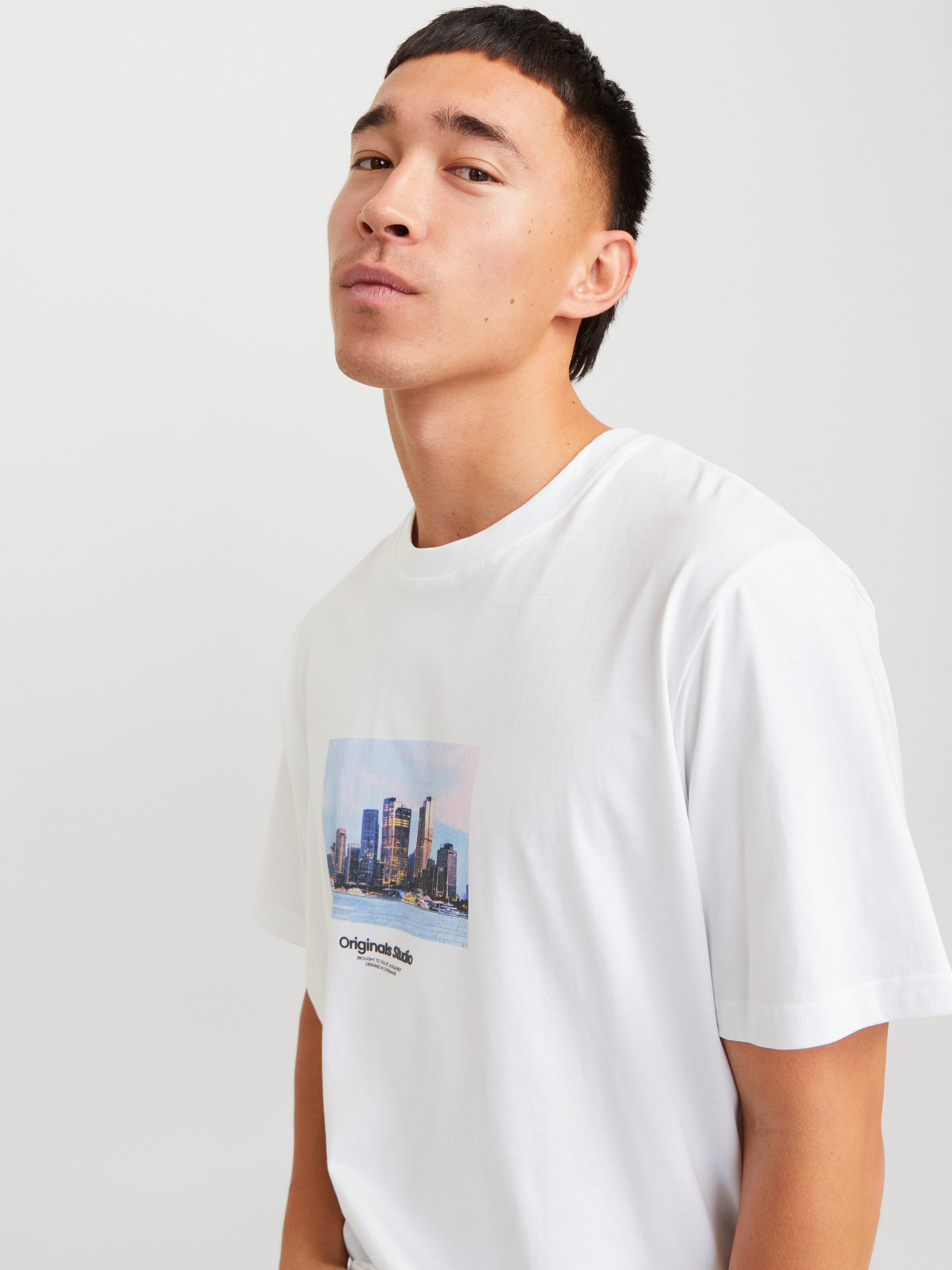 Jack & Jones Kurzarmshirt JORVESTERBRO PICTURE günstig online kaufen