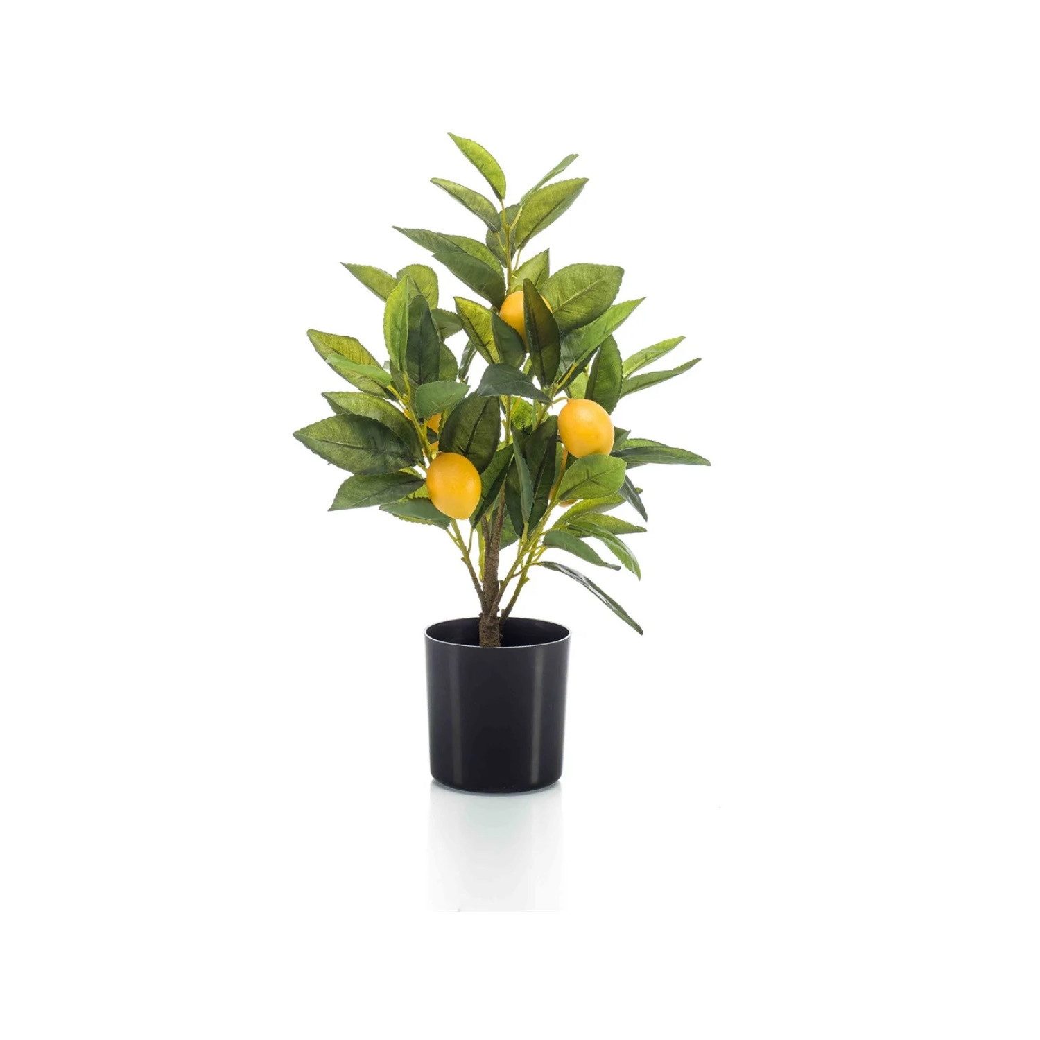 Künstliche Zimmerpflanze Zitrusbäume, Emerald, Höhe 40 günstig online kaufen
