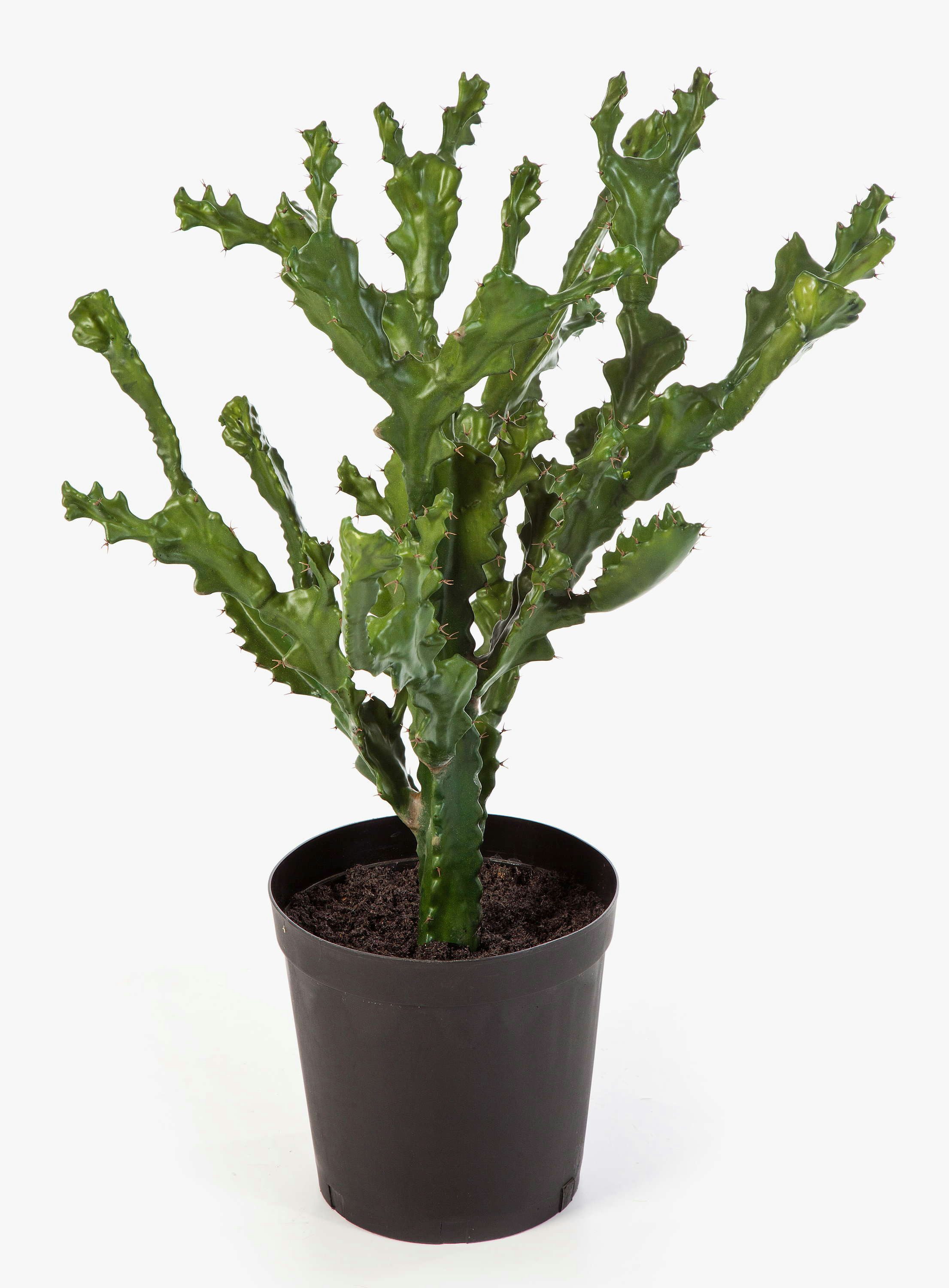 Kunstkaktus Kunststoff Kaktus im Gärtnertopf, grün, 75cm - Kunstkaktus Euphorbia (Euphorbia trigona), artplants, Höhe 75.0 cm