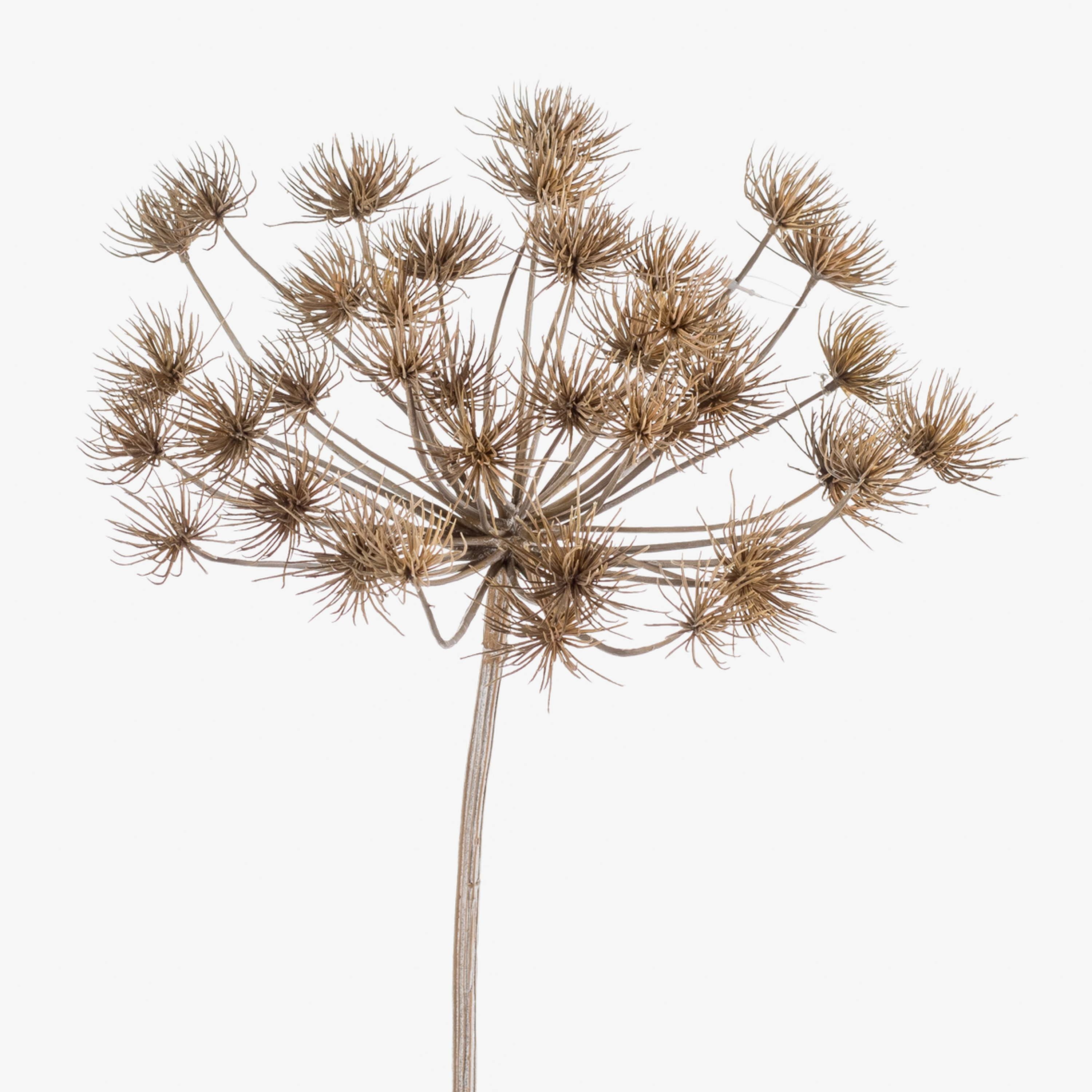 Kunstblume Künstliche Blume Bärenklau Evandro, grau, 125cm Bärenklau, artplants