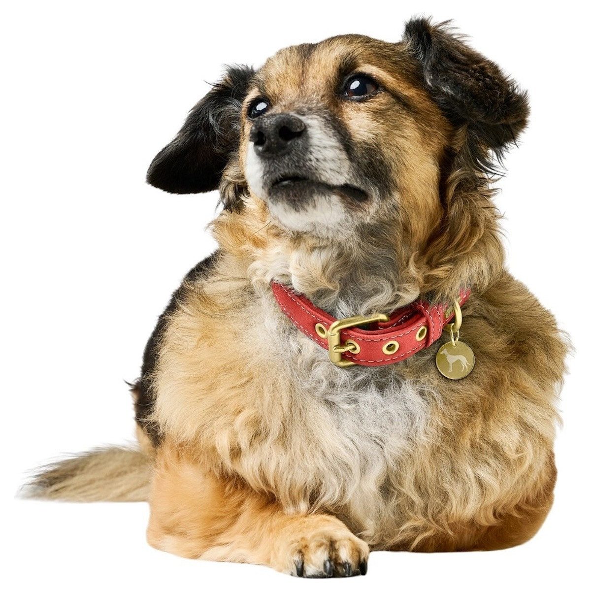 Hunter Tierbedarf Hunde-Halsband Halsband Malibu koralle