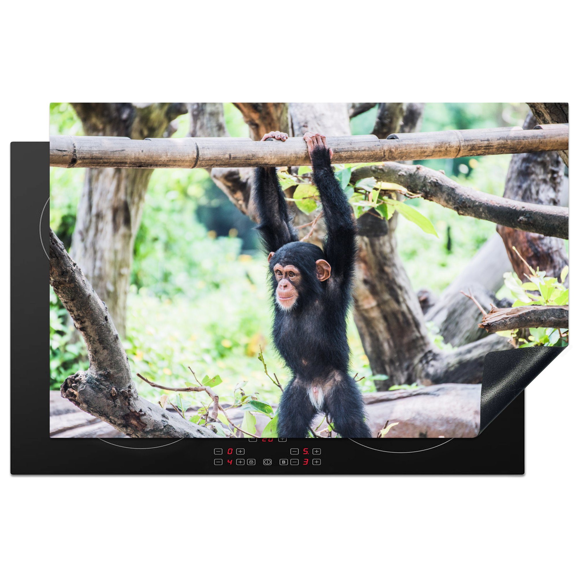 MuchoWow Herdblende-/Abdeckplatte Schutz Ein einem 81x52 Ast inmitten Induktionskochfeld küche, cm, (1 tlg), junger hängt an Schimpanse für die Ceranfeldabdeckung Natur, Vinyl, der