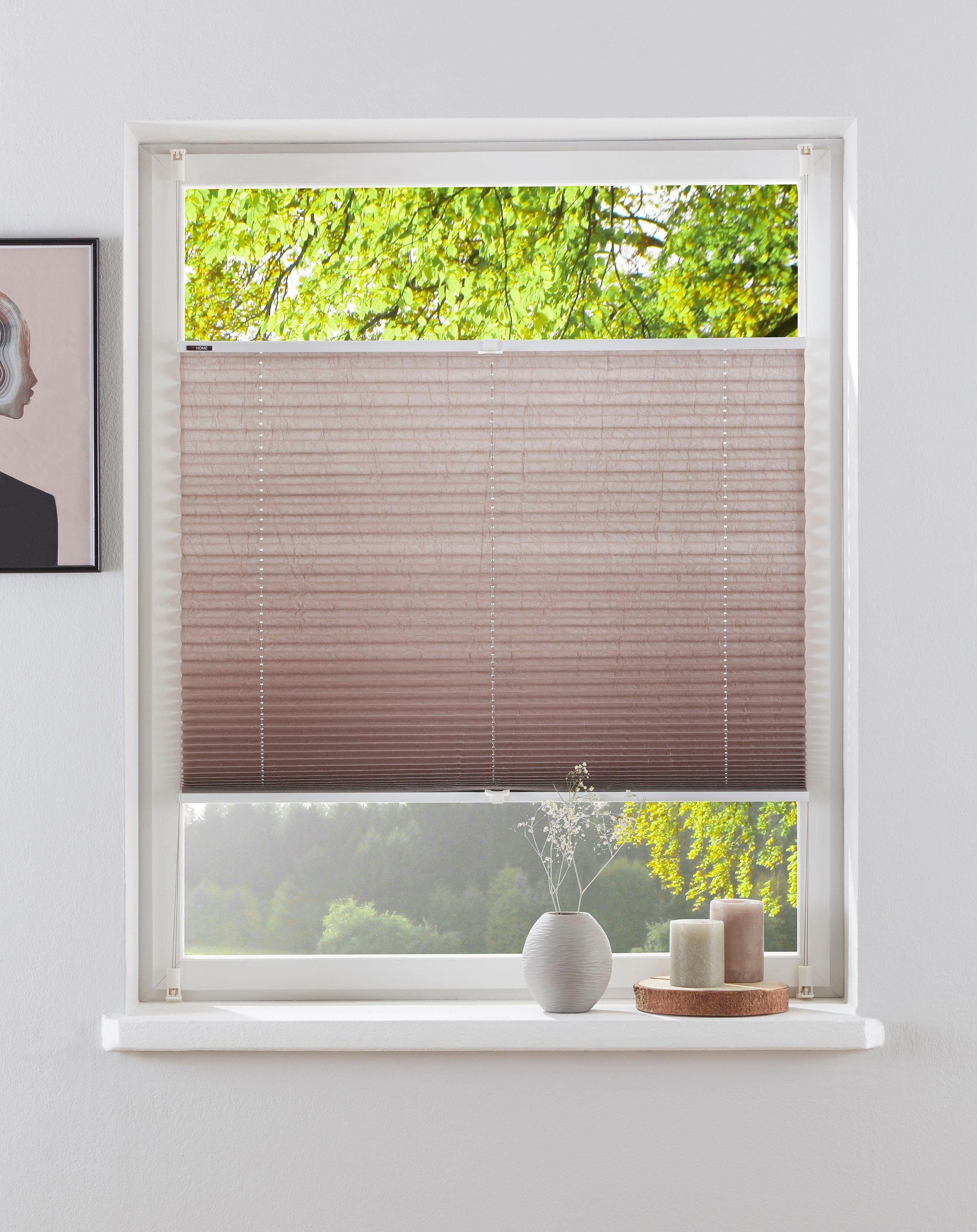 my home Plissee DAHRA - in günstig online kaufen