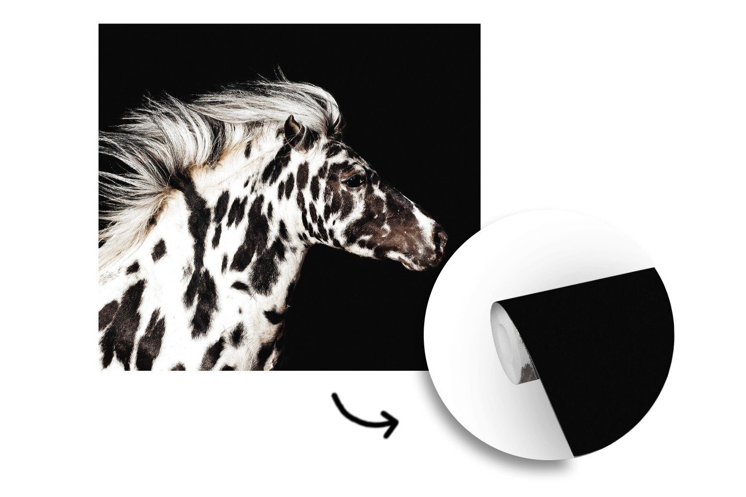 bedruckt, Matt, Tier, Vinyl - Tapete - Wohnzimmer Pferd Fototapete (5 für Punkte Wandtapete Schlafzimmer, oder St), MuchoWow