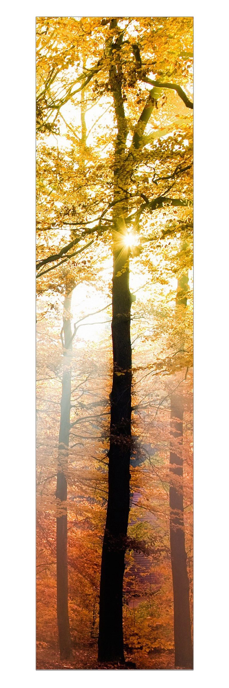 Bilderdepot24 Schiebegardine modern Flächenvorhang blickdicht Morning Light (1 St), halbtransparent, Wohnzimmer große Flächengardine lichtdurchlässig für Klemm-System