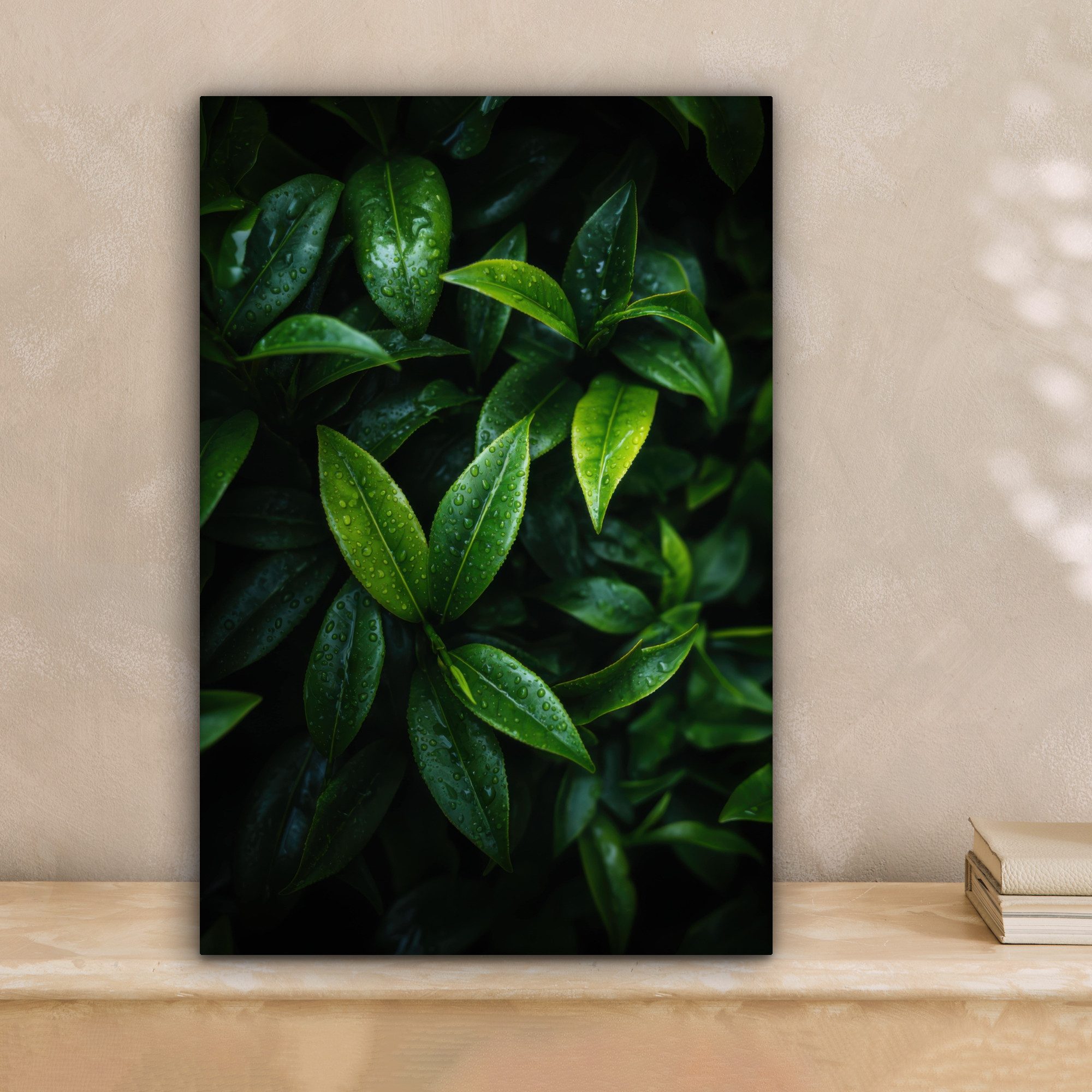OneMillionCanvasses® Leinwandbild Blätter - Regentropfen - günstig online kaufen