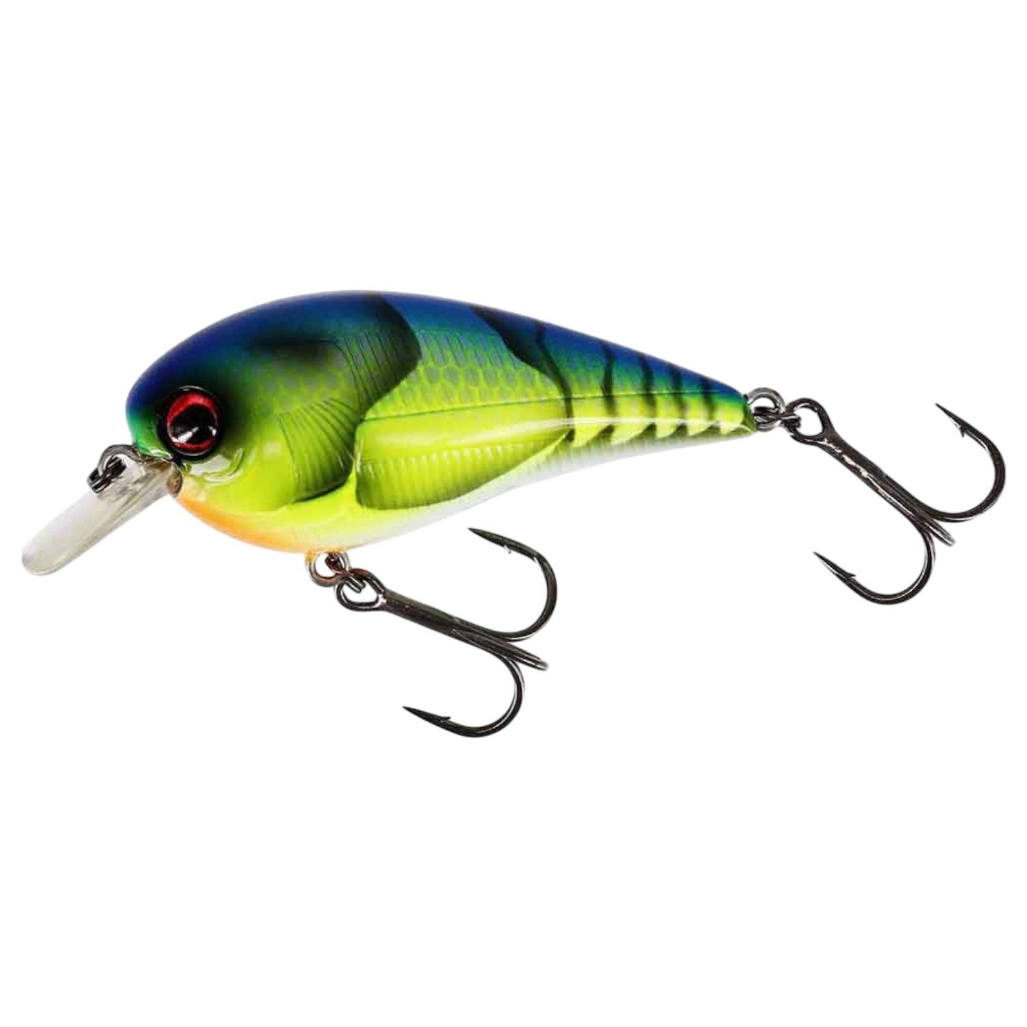 569 Chart. Blue Craw