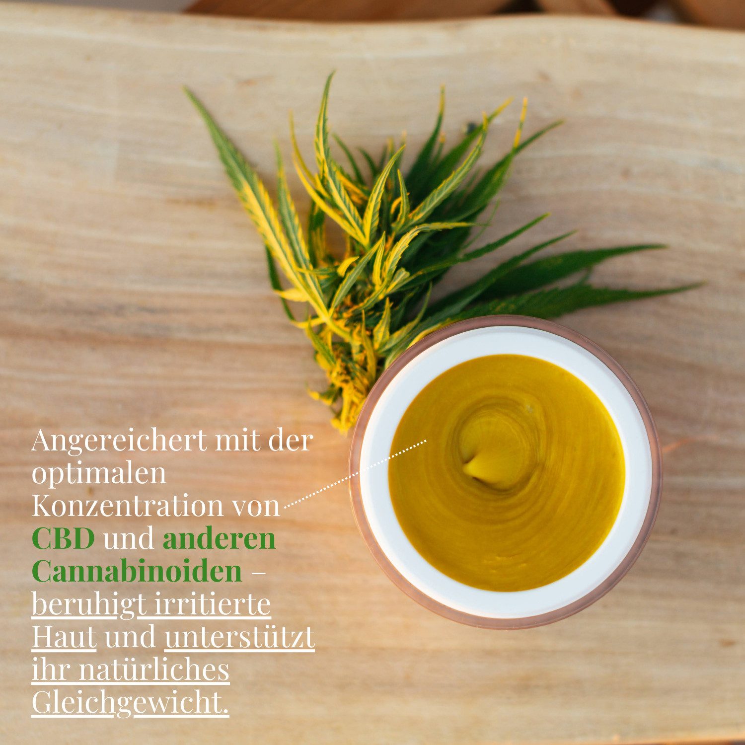 Hemptouch Bodylotion CBD Therapeutischer Hautbalsam, Lindert das Gefühl von Juckreiz und reduziert Spannungsgefühle